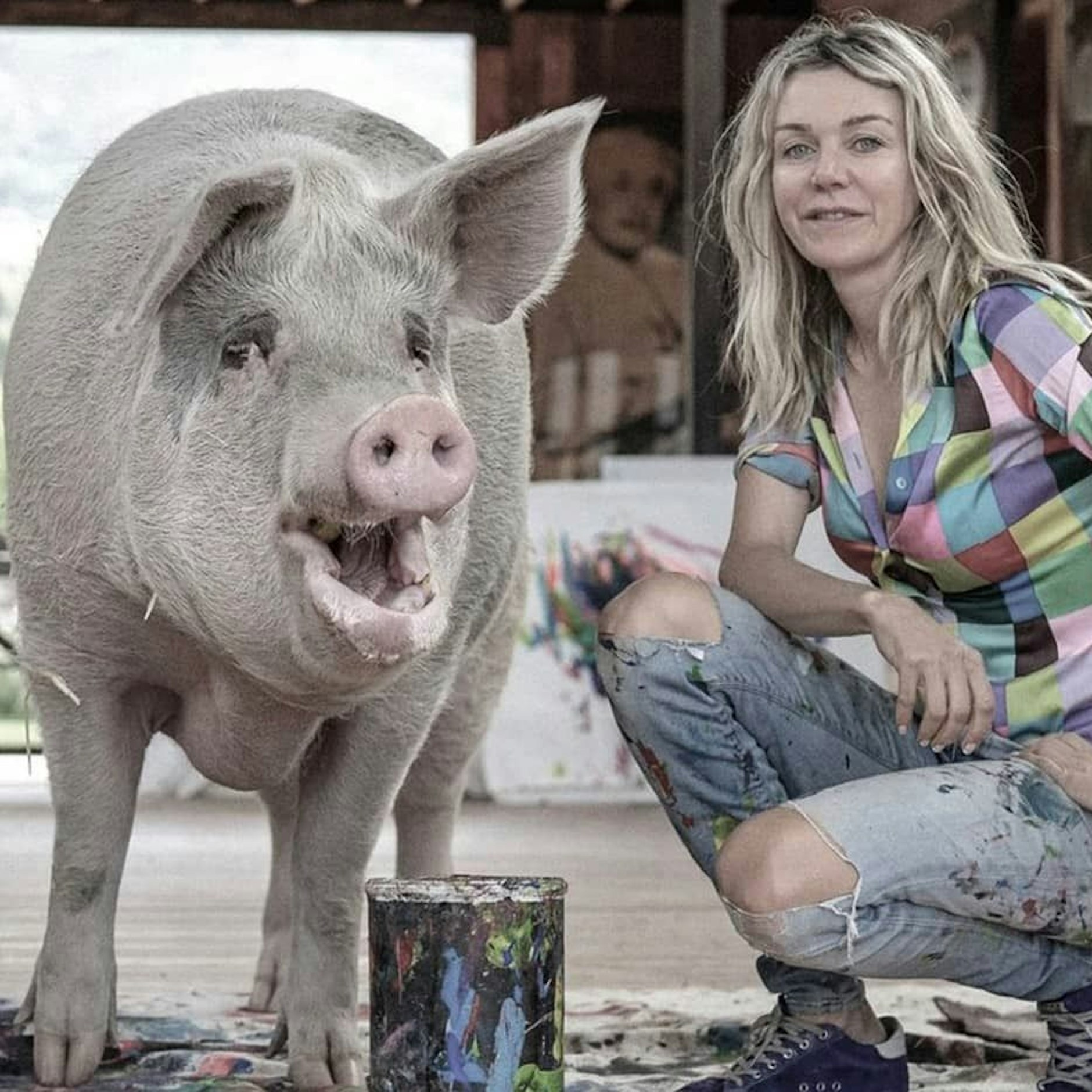 Pigcasso mit seiner Besitzerin Joanne Lefson