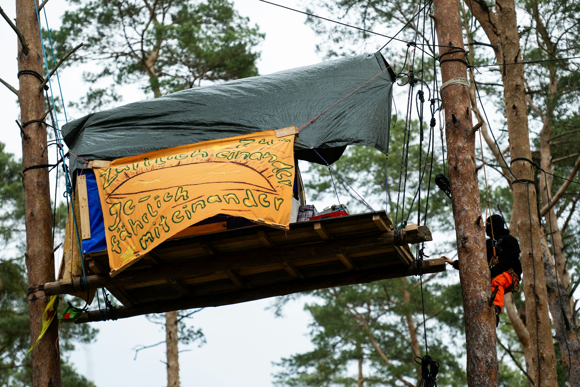 Ein Aktivist baut in einem Protestcamp an einem Baumhaus. Es richtet sich gegen die geplante Erweiterung des Tesla-Werkes.