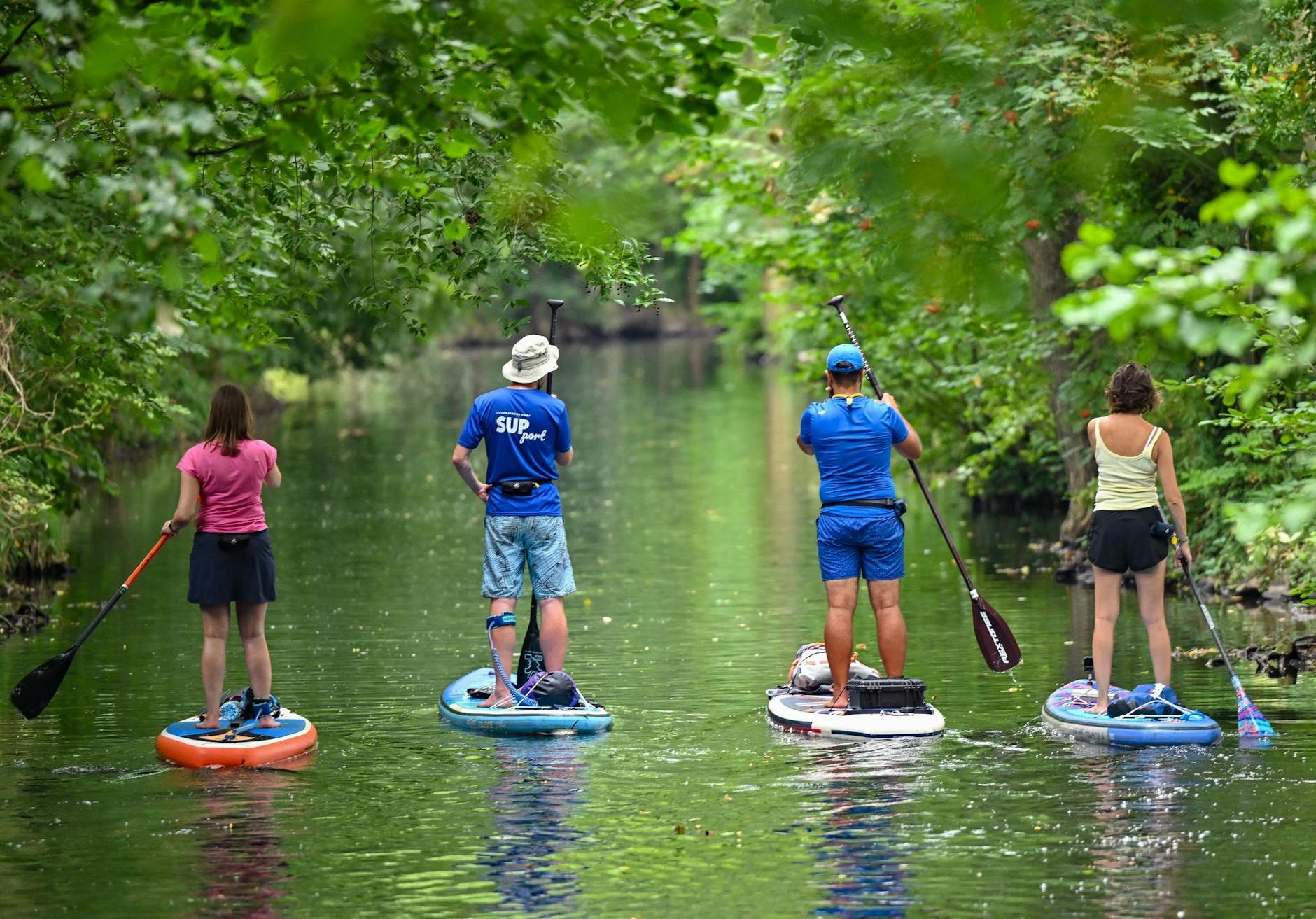 ARCHIV - Personen sind auf Stand-up Paddle Boards auf einem Fließ im Spreewald unterwegs.