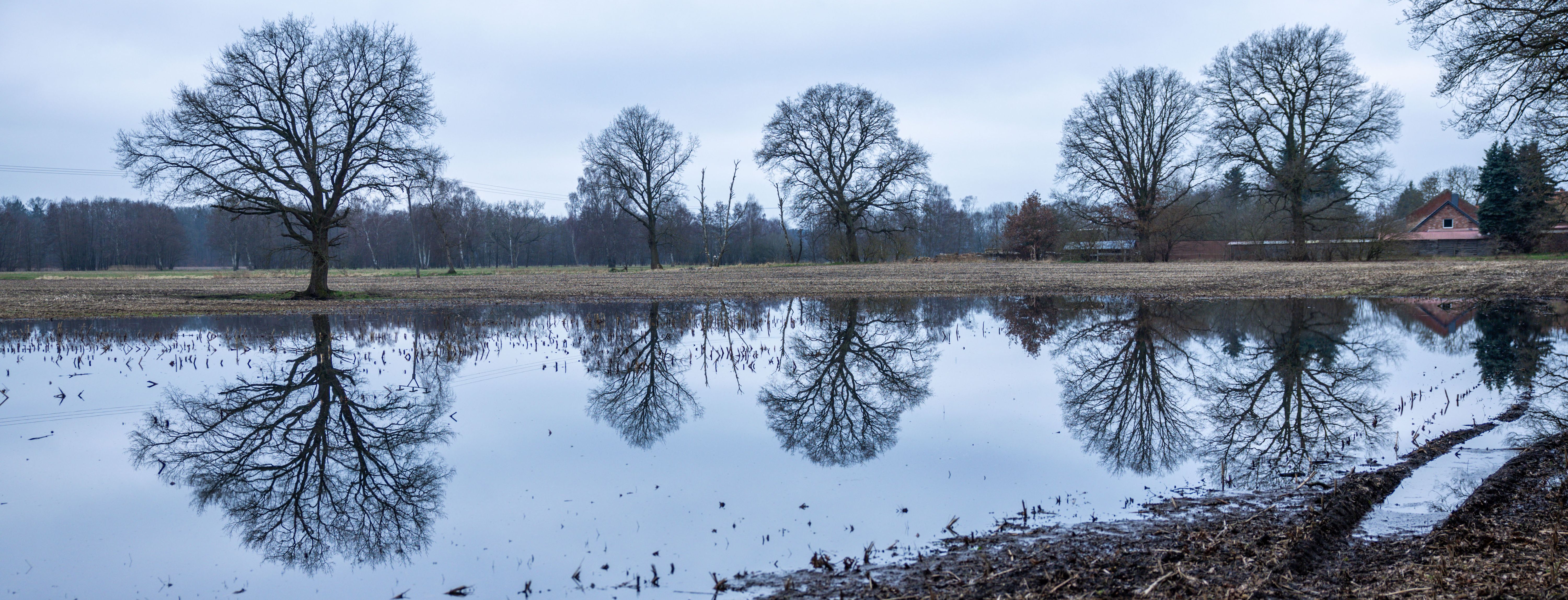 Irres Wetter: Deutschland säuft ab! „Elfi“ bringt 60 Liter Regen