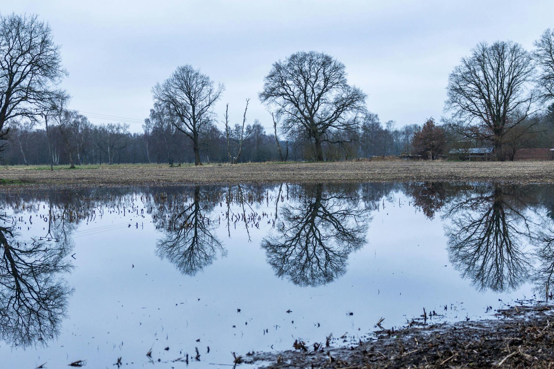 Bäume spiegeln sich auf der Wasserfläche auf einem teilweise überfluteten Acker. Das Wetter wird wieder sehr nass in der kommenden Woche.