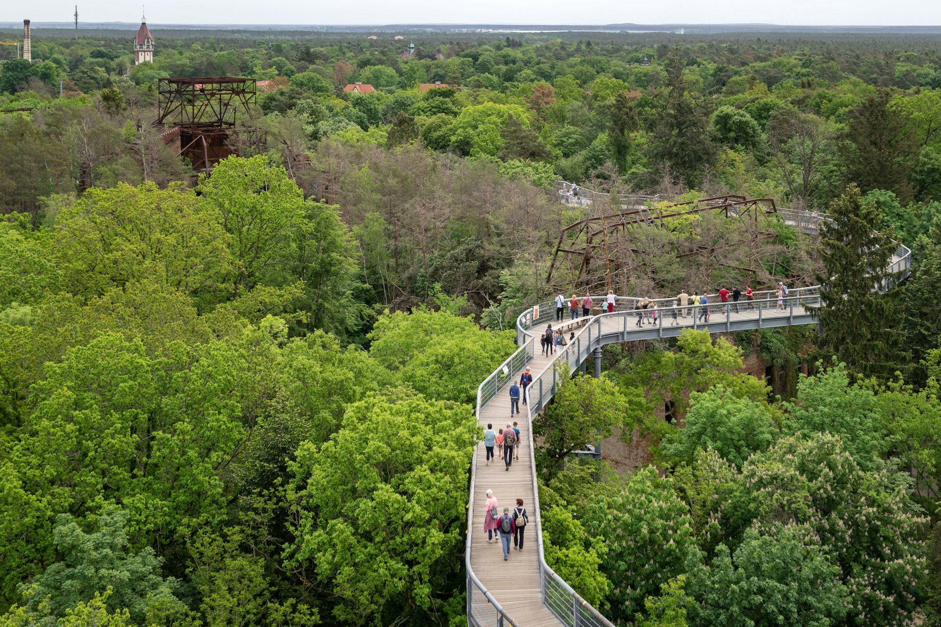 Der Baumkronenpfad in Beelitz-Heilstätten eignet sich für einen schönen Tagesausflug in Brandenburg.