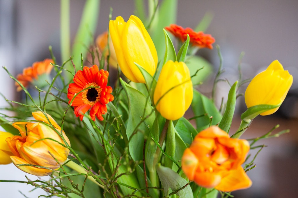 Pankower Frauenpreis 2024 Das ist die Gewinnerin