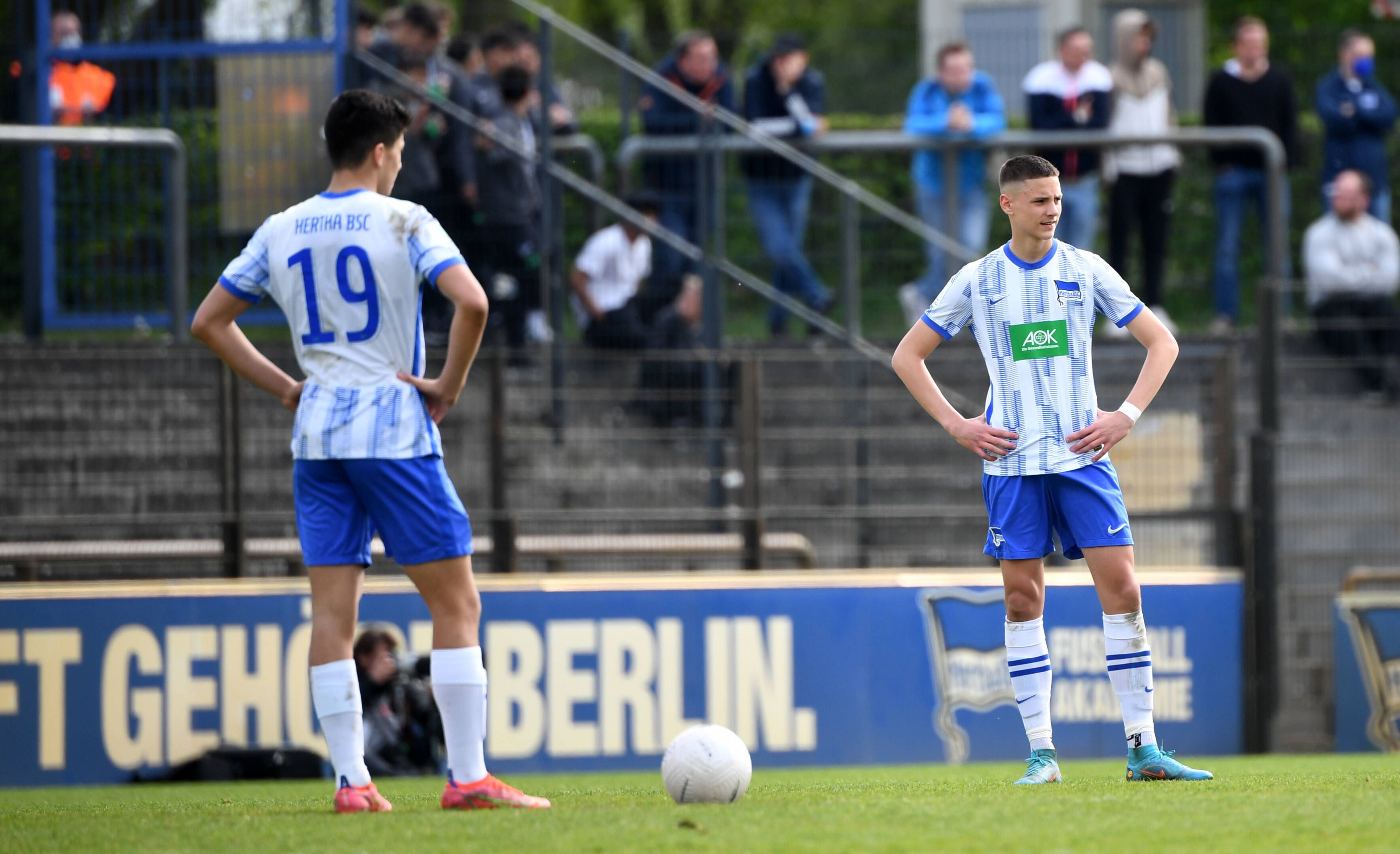 Achtung! Wilderer Scharf Auf Hertha-Juwelen Ibrahim Maza Und Bence Dardai