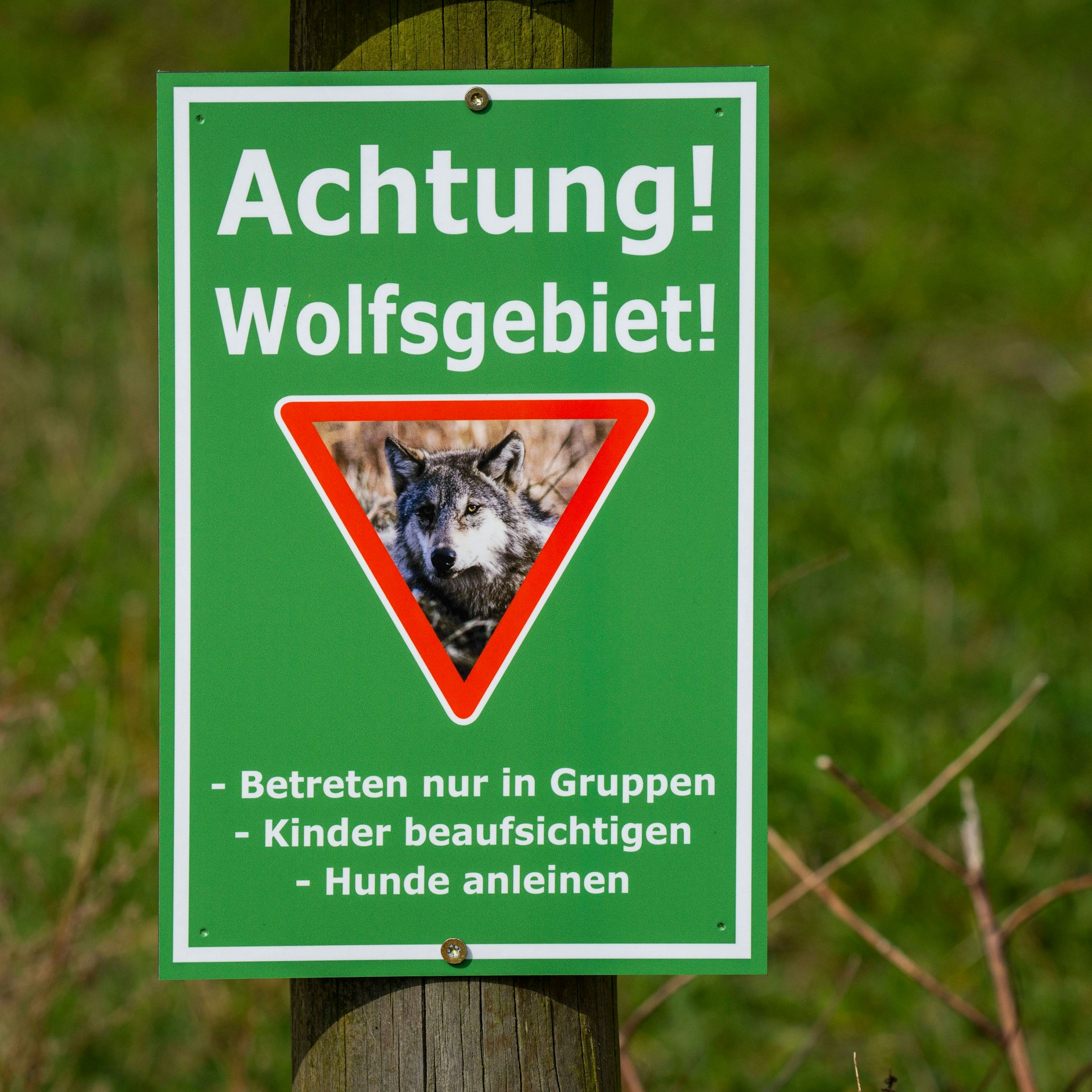 Warnung vor Wölfen auf einem Feld bei Buckow im brandenburgischen Landkreis Barnim im Biosphärenreservat Schorfheide-Chorin.  