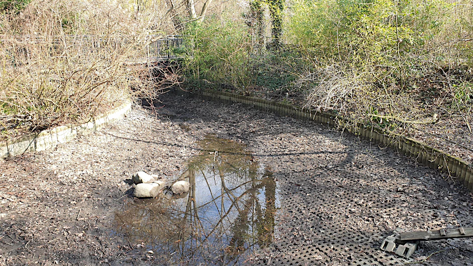 Binnen zwei Stunden war der Teich im Ernst-Thälmann-Park leer.
