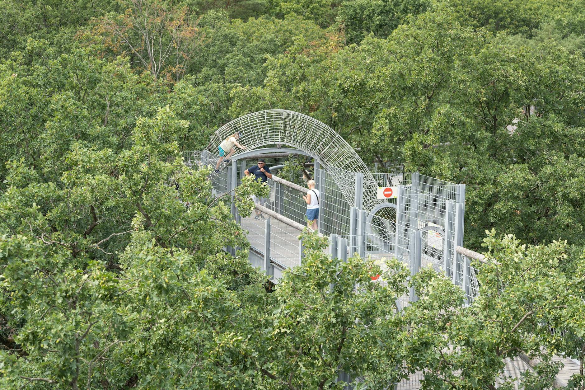 Der Baumkronenpfad in Beelitz-Heilstätten beinhaltet auch spannende Elemente für Kinder.