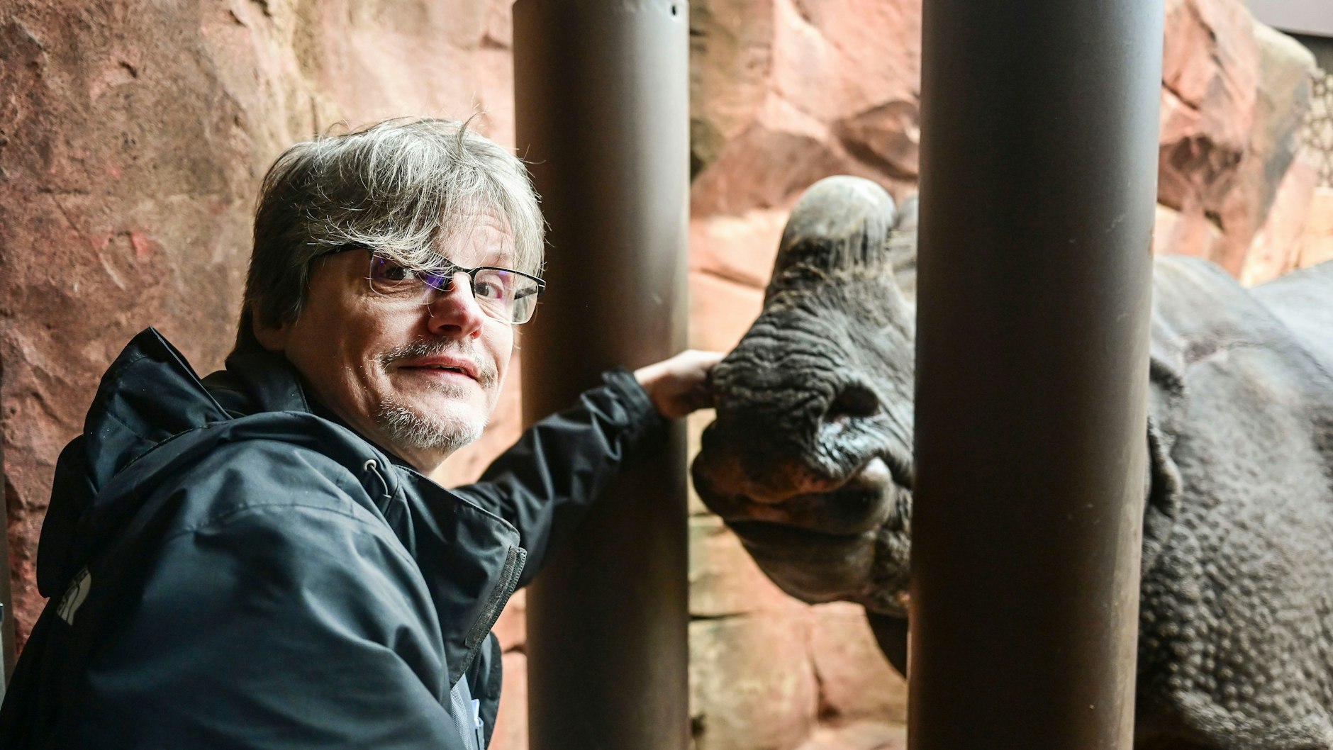 Vor dem Füttern kommt das Streicheln: KURIER-Reporter Norbert Koch-Klaucke ist von Panzernashorn Betty beeindruckt.