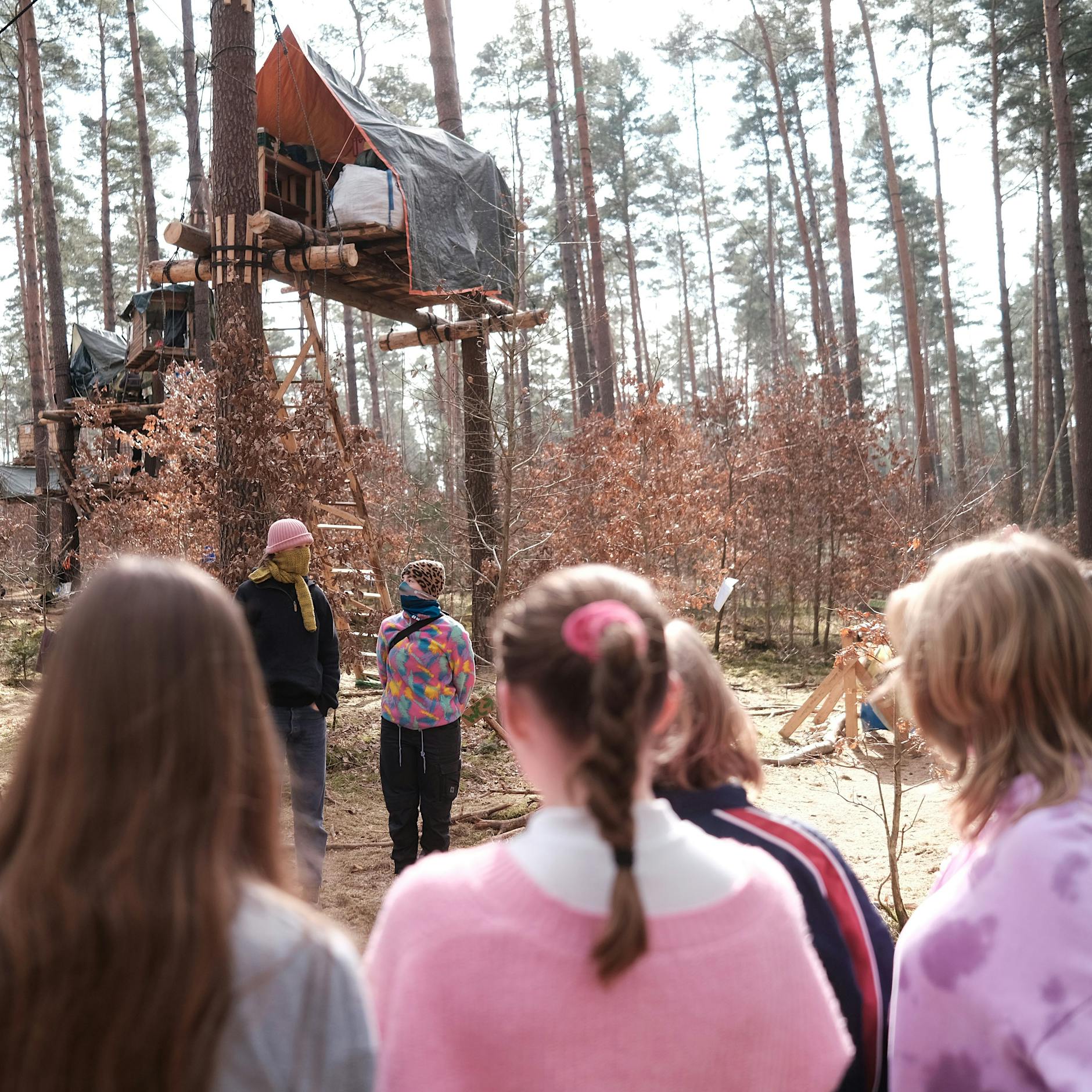 Tesla-Protest: Aktivisten wollen Baumhäuser nicht zurückbauen