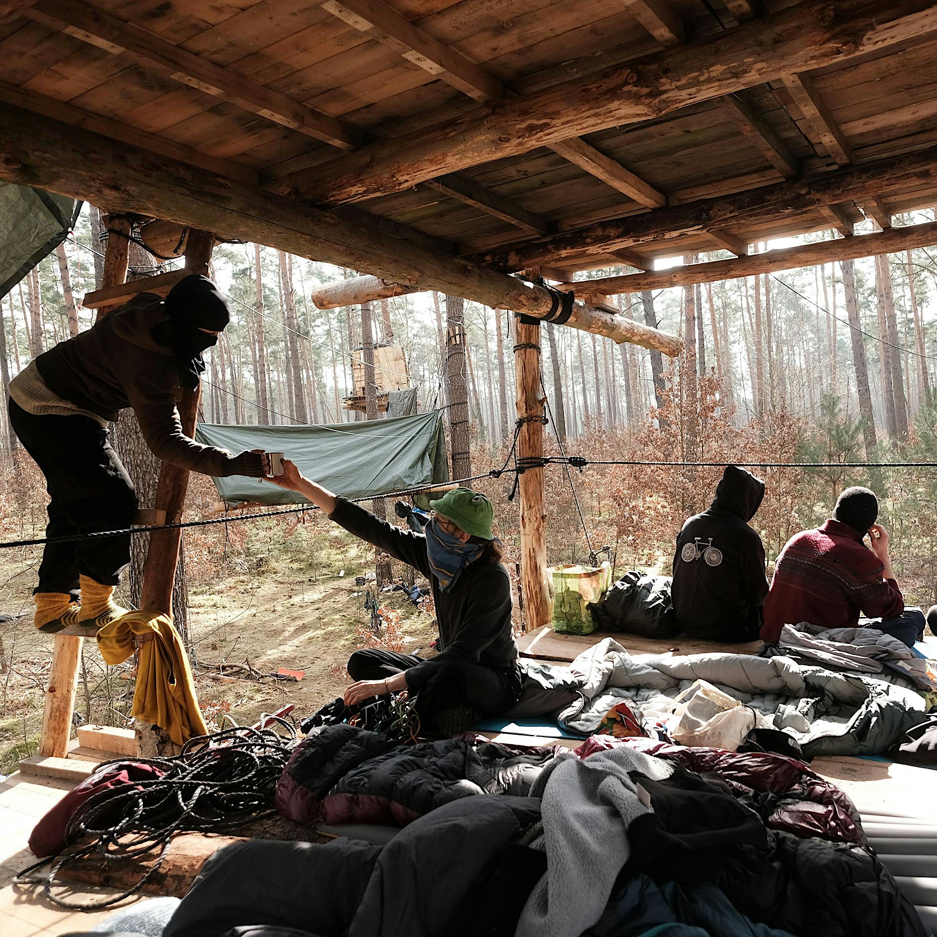 Streit um Gigafactory: Weniger Platz für Tesla und mehr Zeit für Baumbesetzer