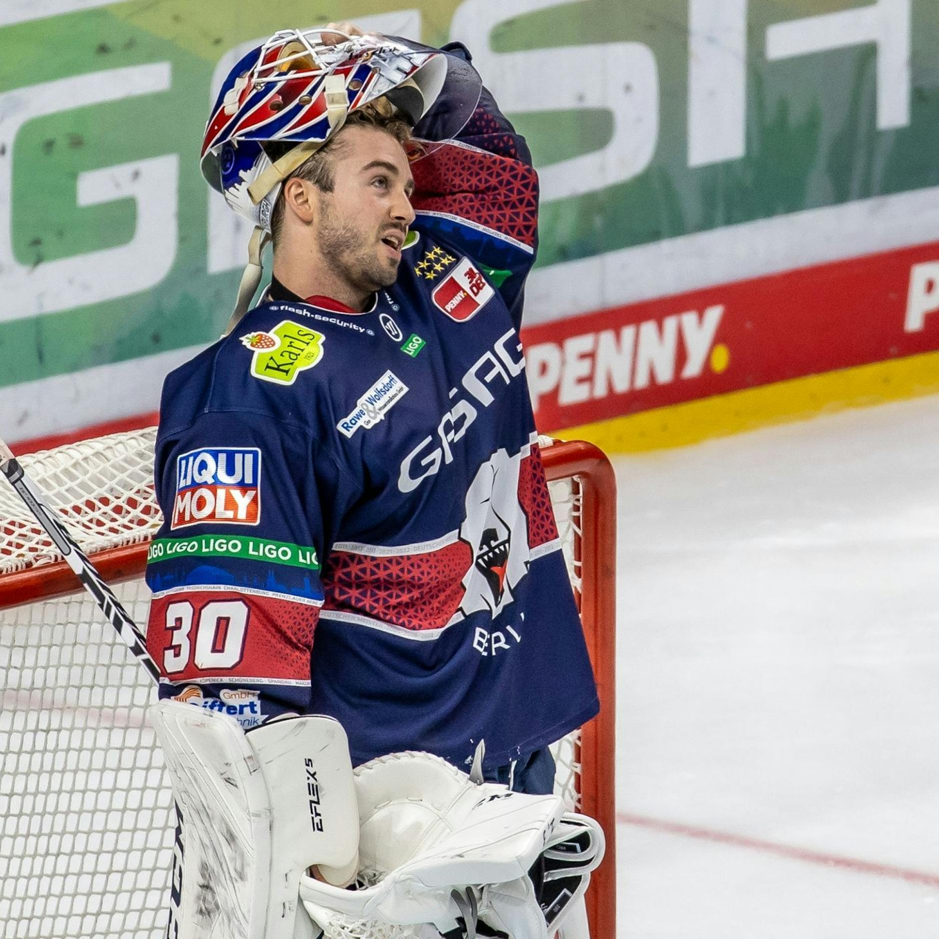 Image - Eisbären-Coach Aubin erwartet „Kampf um jeden Zentimeter“