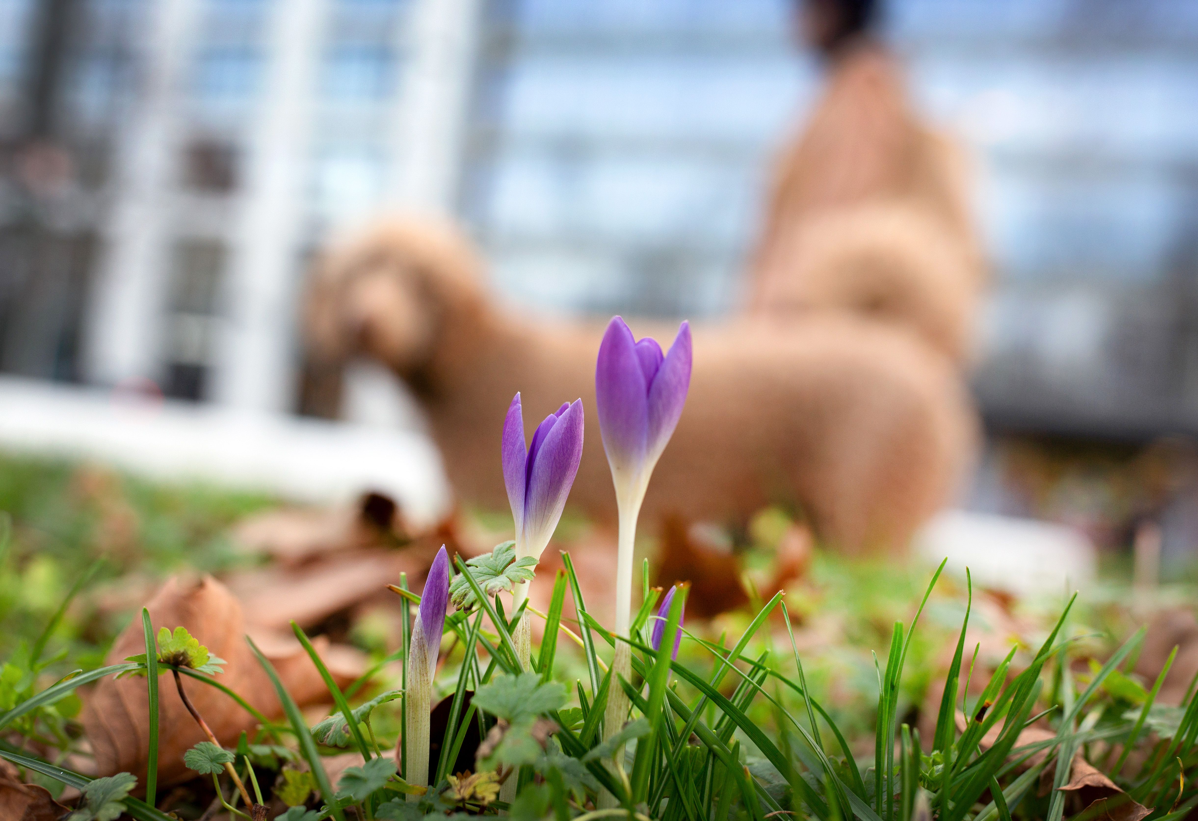Ja, Sonne, 15 Grad! Wo Sie jetzt den Frühling genießen können