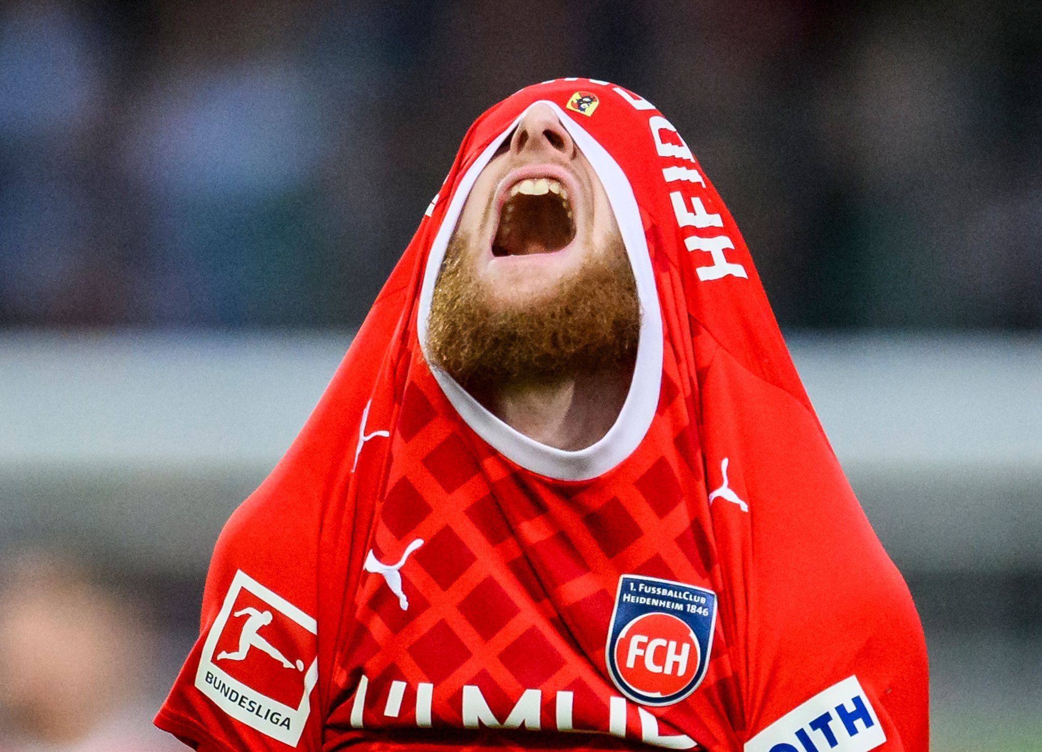 Image - Bilder des Tages