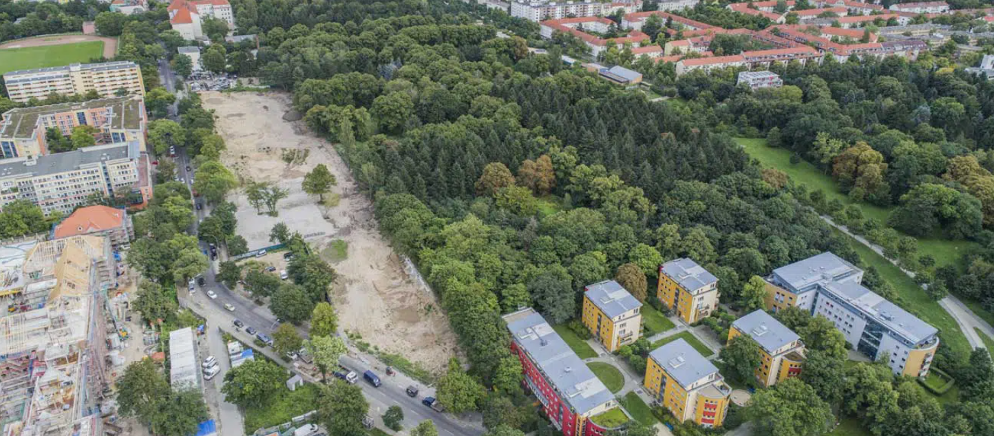 Image - Emmaus-Kirchhof: Senat will Neuköllns größten Wald roden – Anwohner protestieren