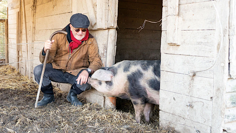 Franz Keller auf seinem Biobauernhof: „Ein Schwein, welches keine zwei Jahre alt werden darf, ist eine arme Sau.“