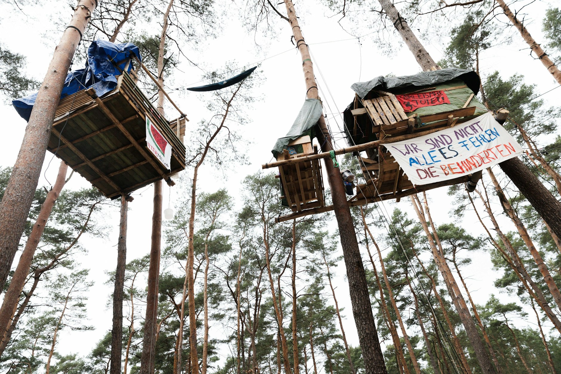 Gekommen, um zu bleiben: Baumhäuser eines Camps der Initiative "Tesla stoppen" in einem Kiefernwald nahe der Tesla-Fabrik in Grünheide.