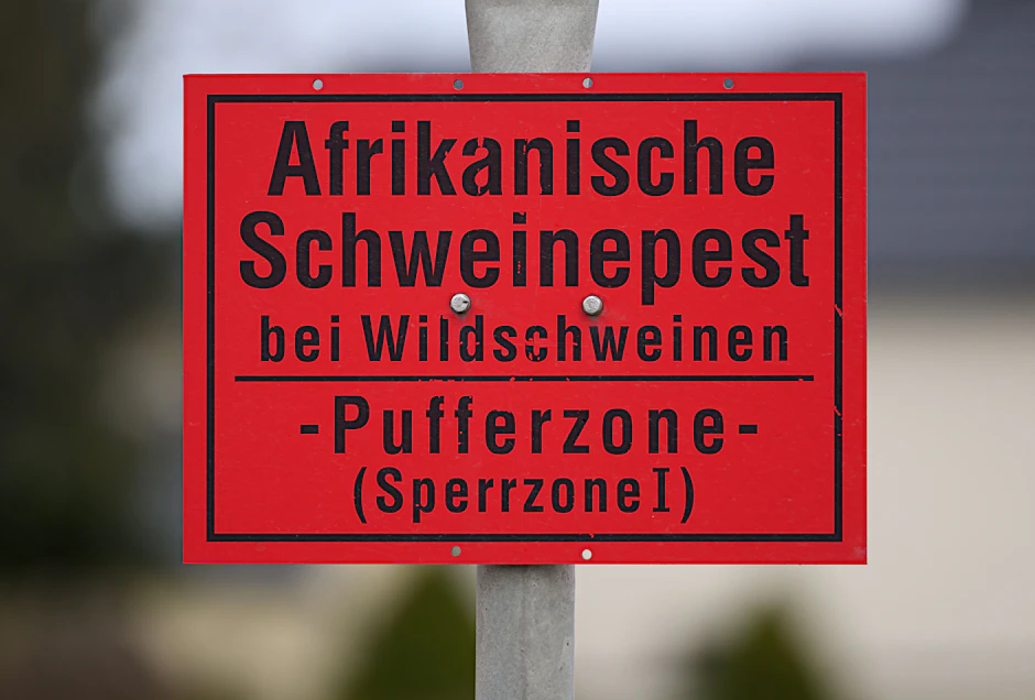 Warnschild zur Afrikanischen Schweinepest: Die Seuche ist Thema in der neuen „Polizeiruf 110“-Folge.