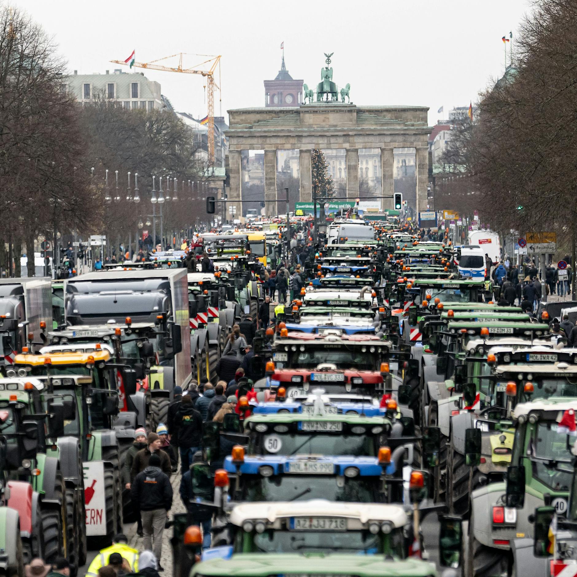 Traktoren rollen an! Demo am Freitag – HIER legen Bauern Berlin lahm
