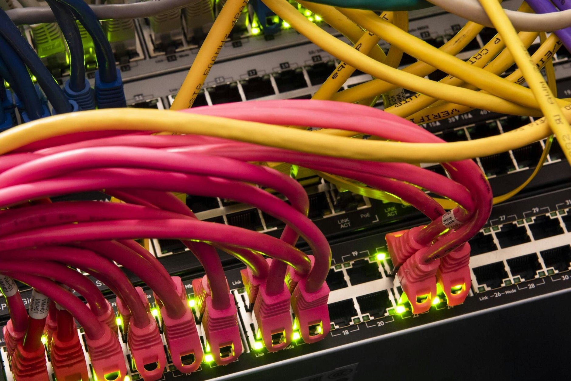 Daten- und Netzwerkkabel an Internetservern. (Symbolbild)