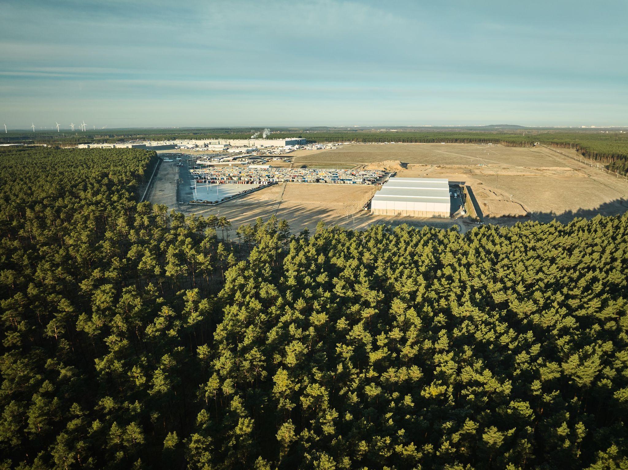 Image - Grünheide: Für Tesla-Ausbau sollen nun weniger Bäume sterben