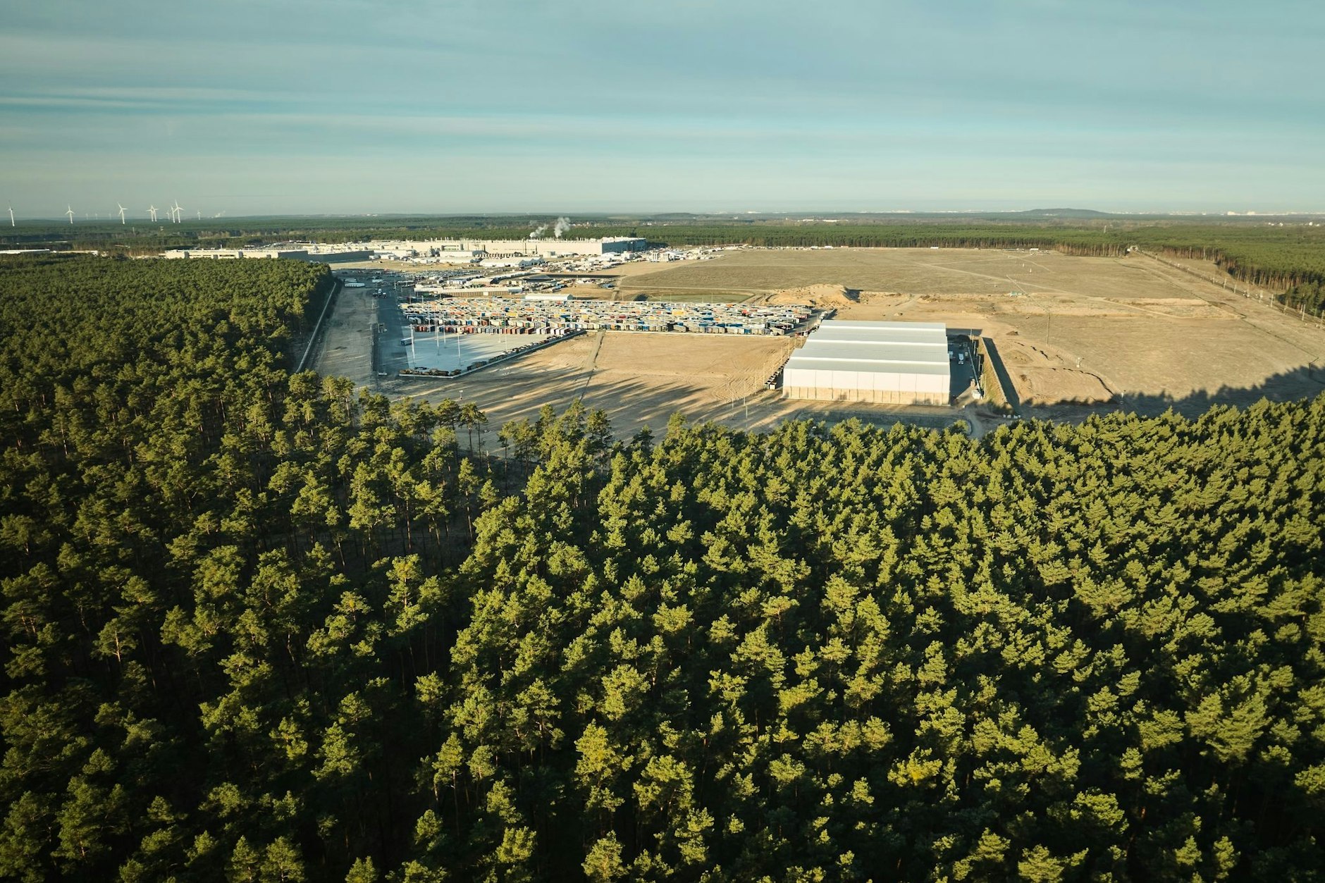 Um dieses Waldstück geht es. Nun sollen für den Ausbau der Tesla-Gigafactory in Grünheide weniger Bäume gerodet werden. 
