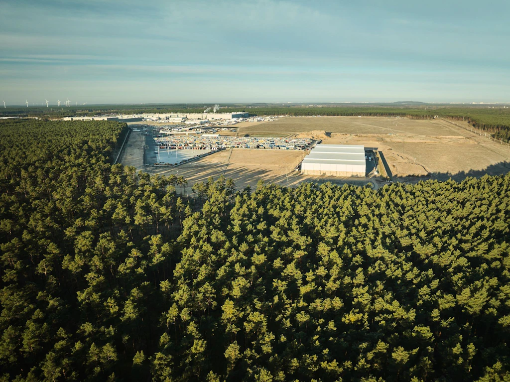 Grünheide: Für Tesla-Ausbau sollen nun weniger Bäume sterben