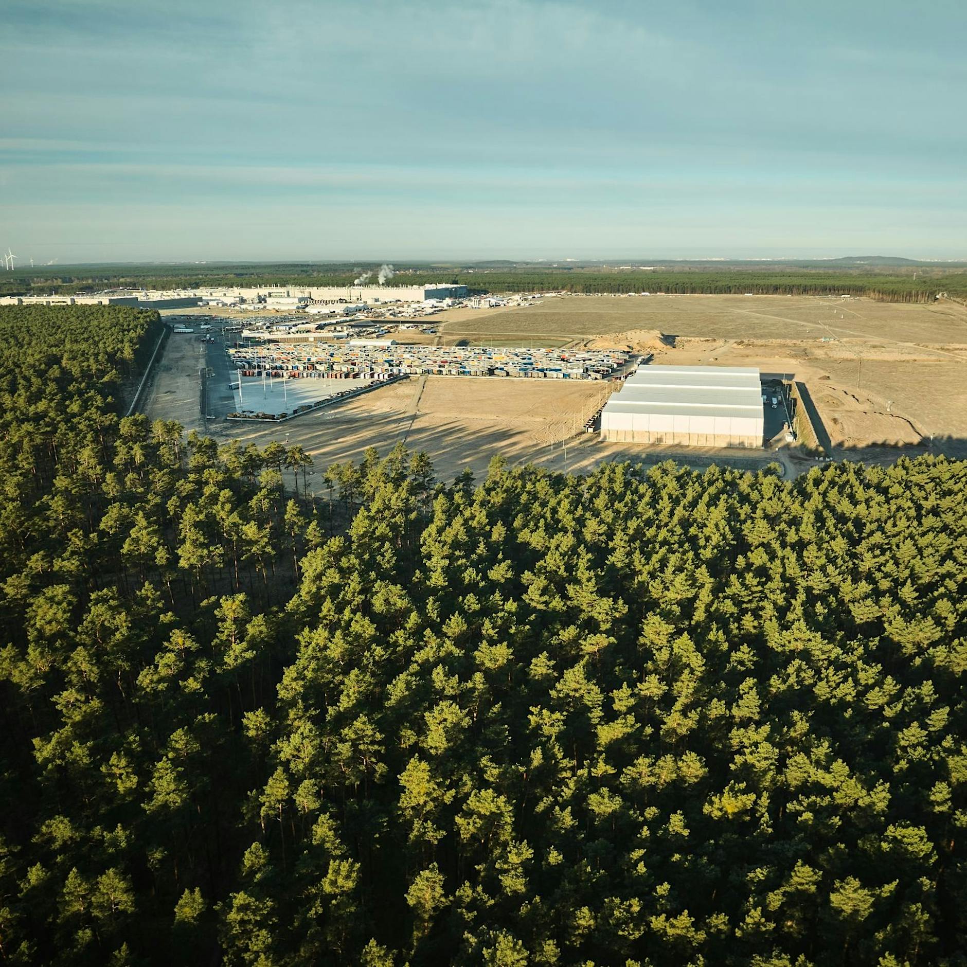 Grünheide: Für Tesla-Ausbau sollen nun weniger Bäume sterben