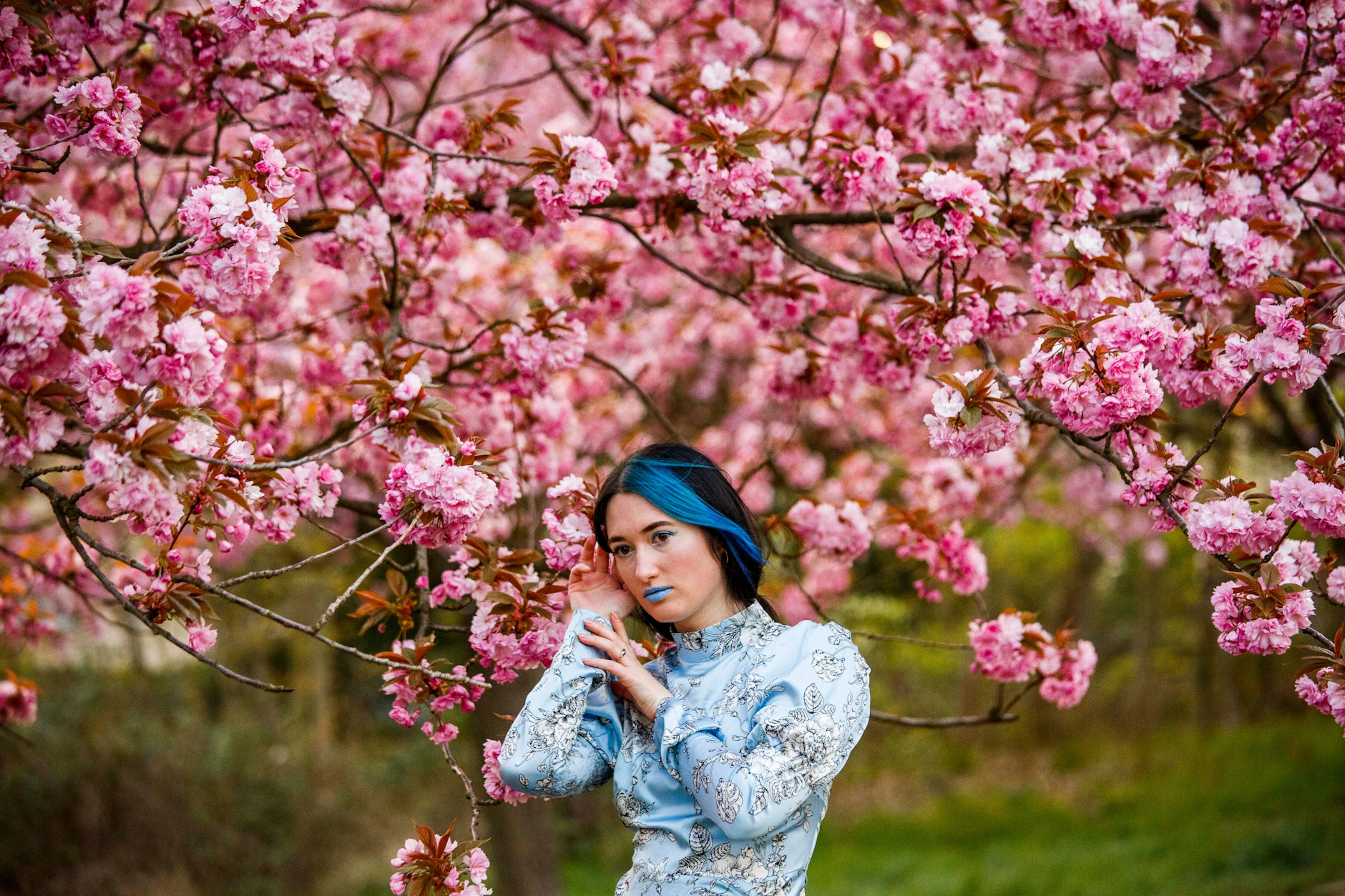 Kirschblüte Schuhpolitur In Allen Farben Erhältlich • EUR 2,27