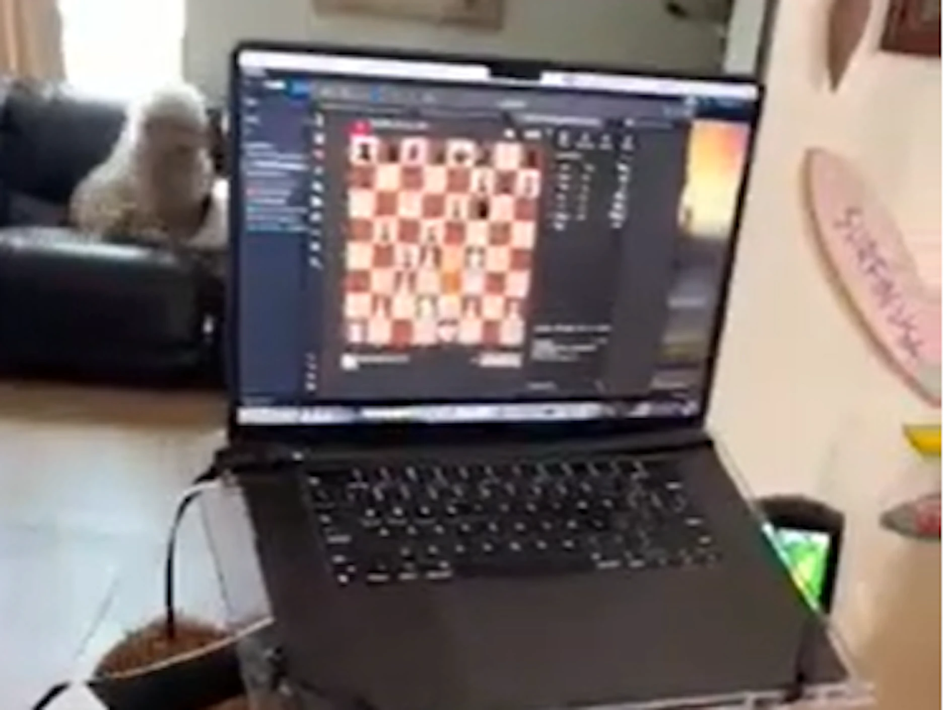 Online-Schach mit Gehirn-Chip: Noland Arbaug, der erste Neuralink-Patiennt sagt: „Das Neuralink-Implantat hat mein Leben verändert“. Neurowissenschaftler zweifeln daran, dass es sich dabei um einen „Durchbruch“ handele.