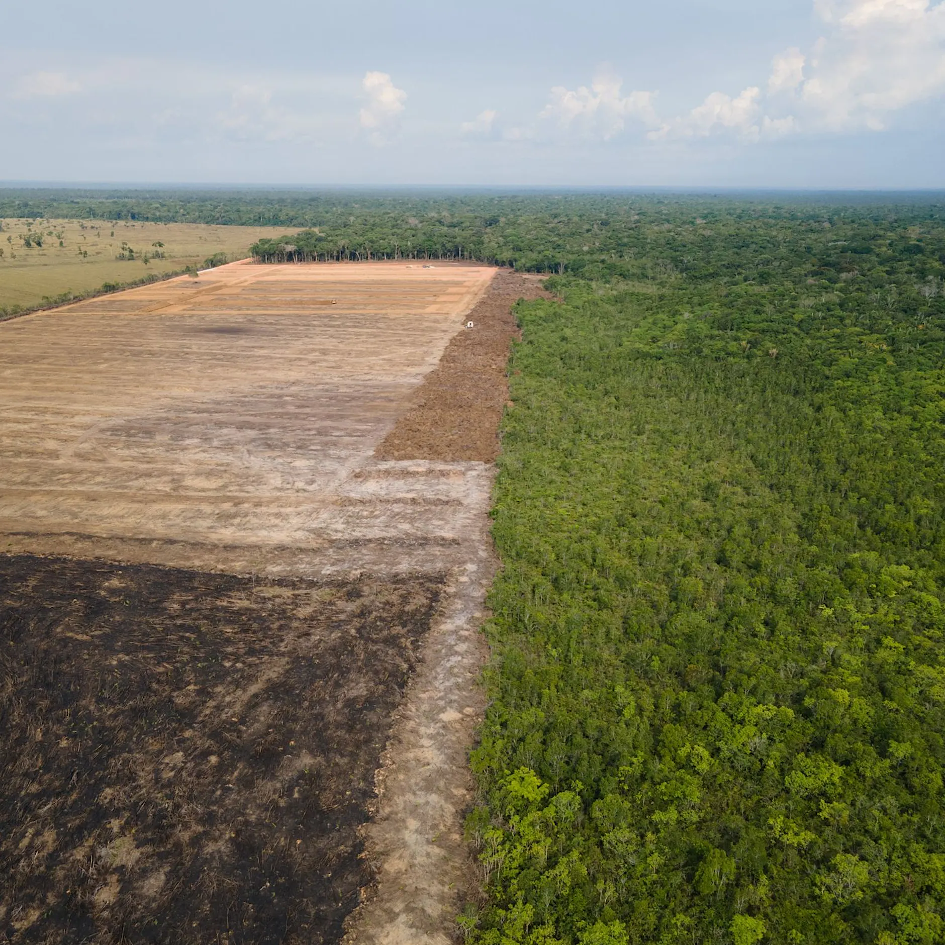 Rodung im Amazonasgebiet auf niedrigstem Stand seit 2018