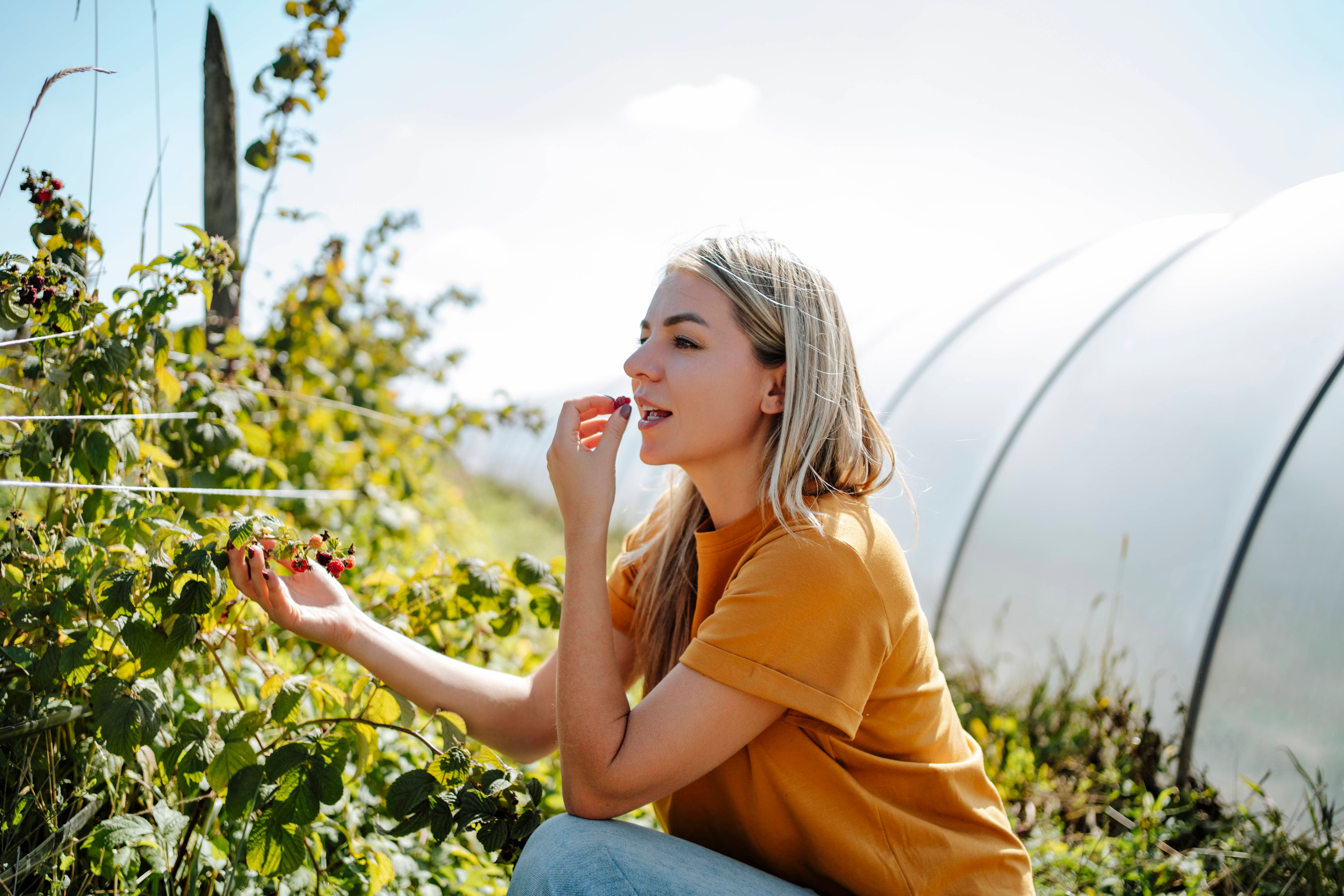 Horoskop für das Wochenende: 26. und 27. Juli 2025 – für alle Sternzeichen