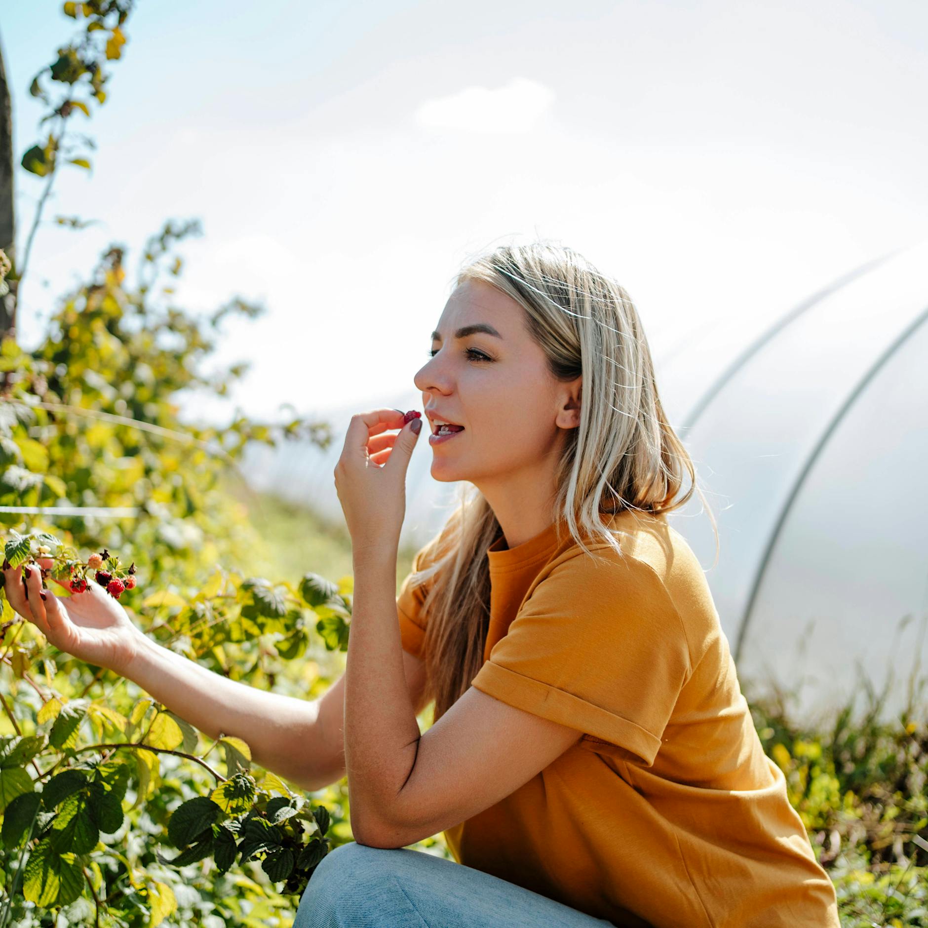 Horoskop für das Wochenende: 26. und 27. Juli 2025 – für alle Sternzeichen