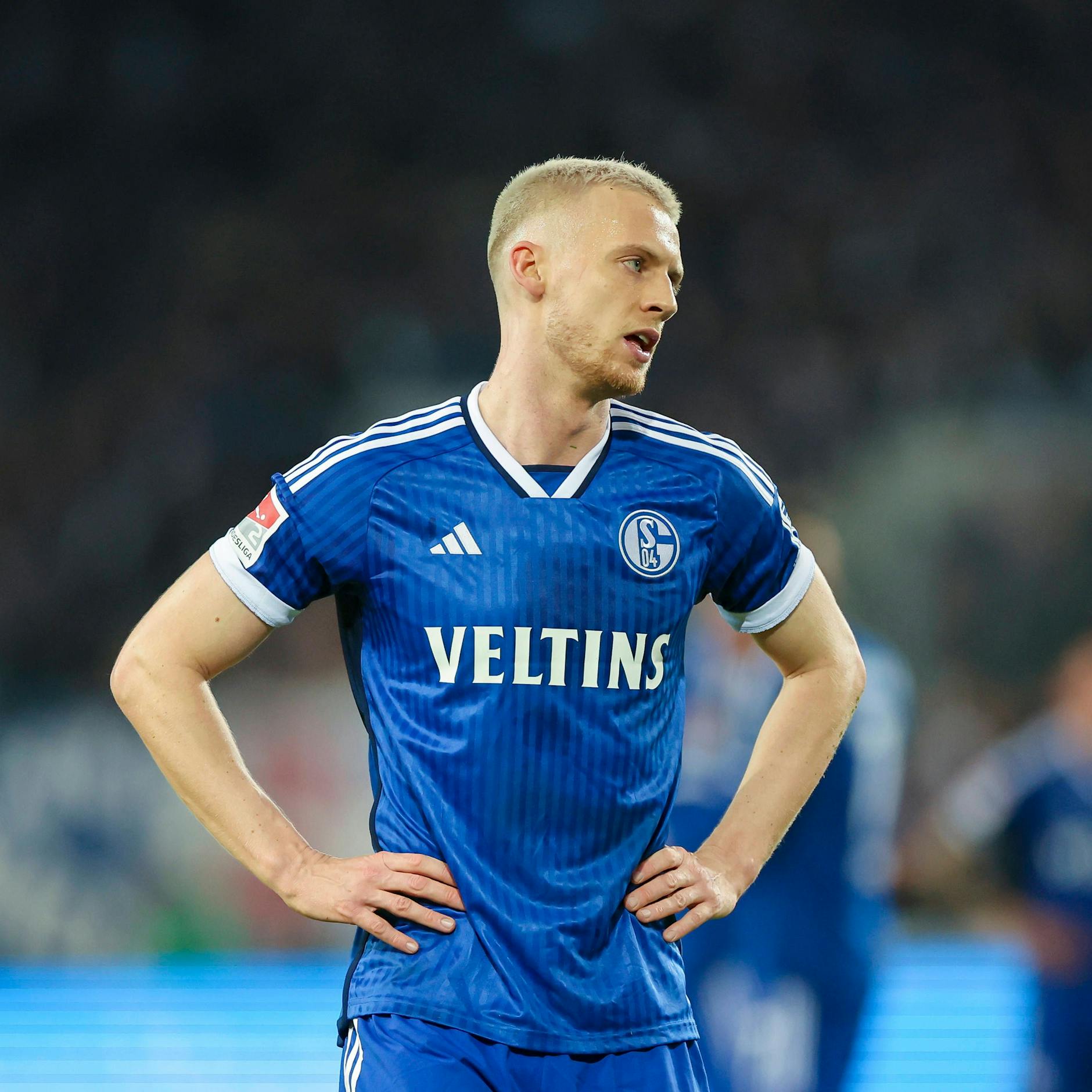 Image - 1. FC Union Berlin: Ex-Unioner beim Krisenklub Schalke 04 gnadenlos aussortiert