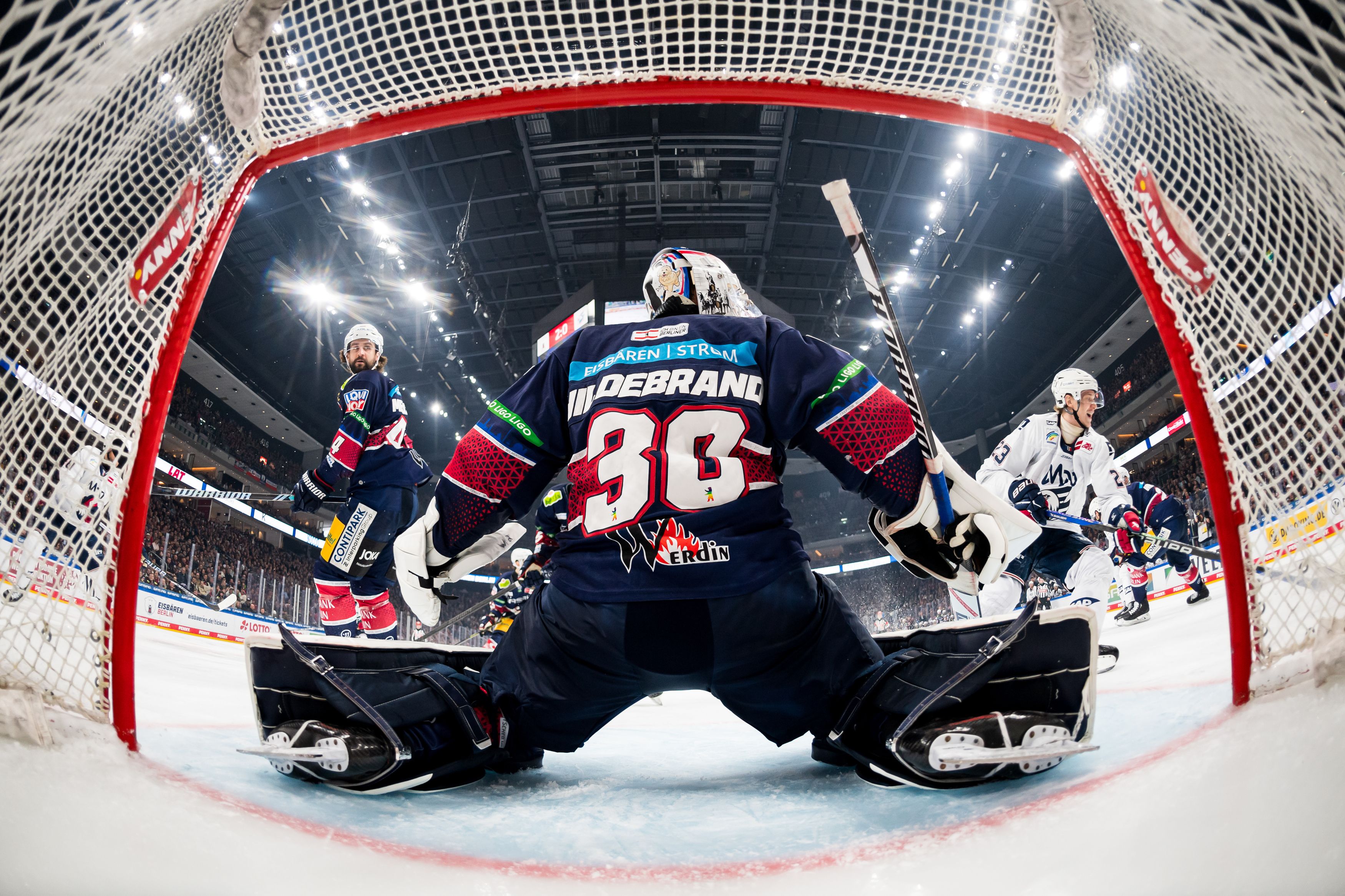 Image - Erster Heimsieg bringt Eisbären Berlin gegen Adler Mannheim in Führung
