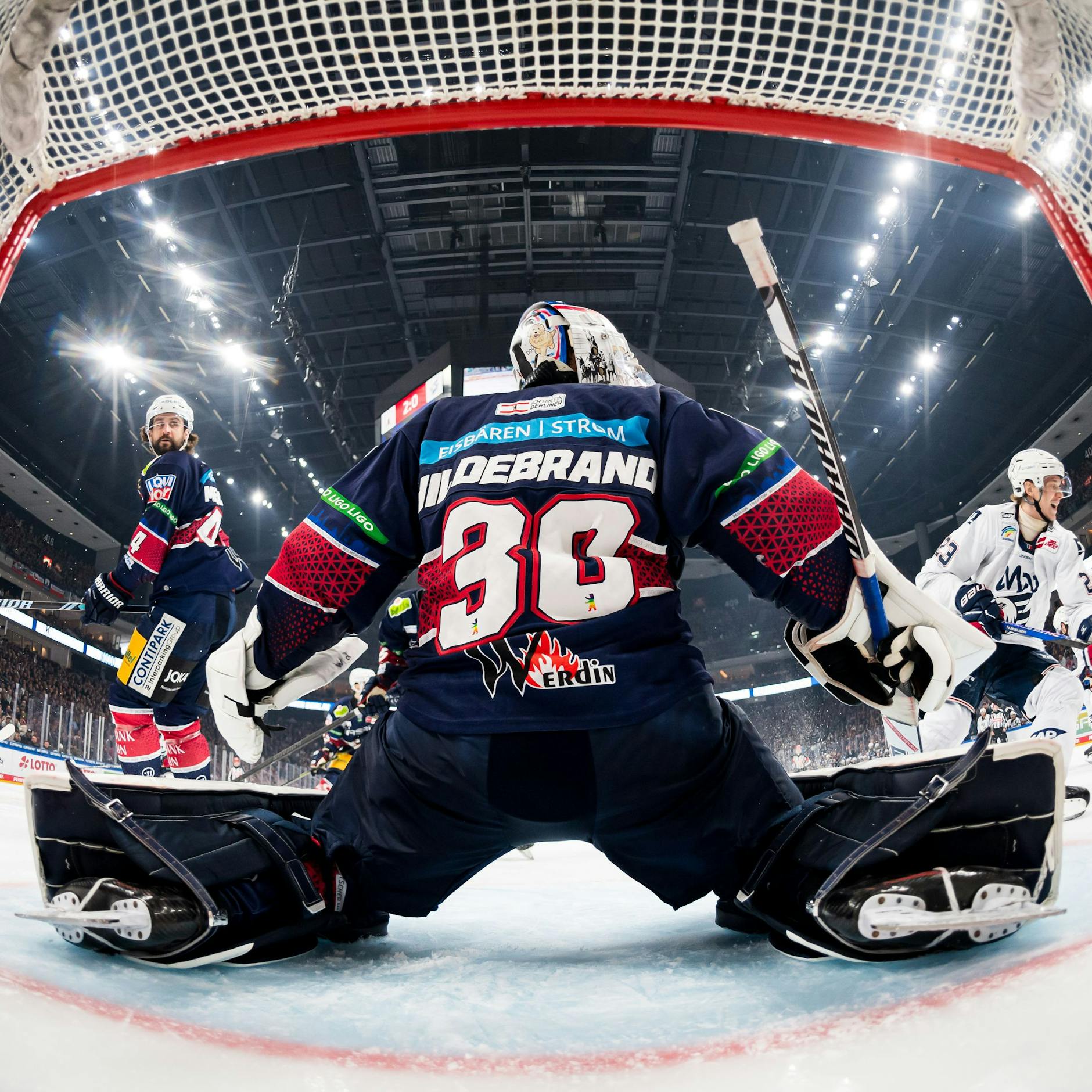 Image - Erster Heimsieg bringt Eisbären Berlin gegen Adler Mannheim in Führung