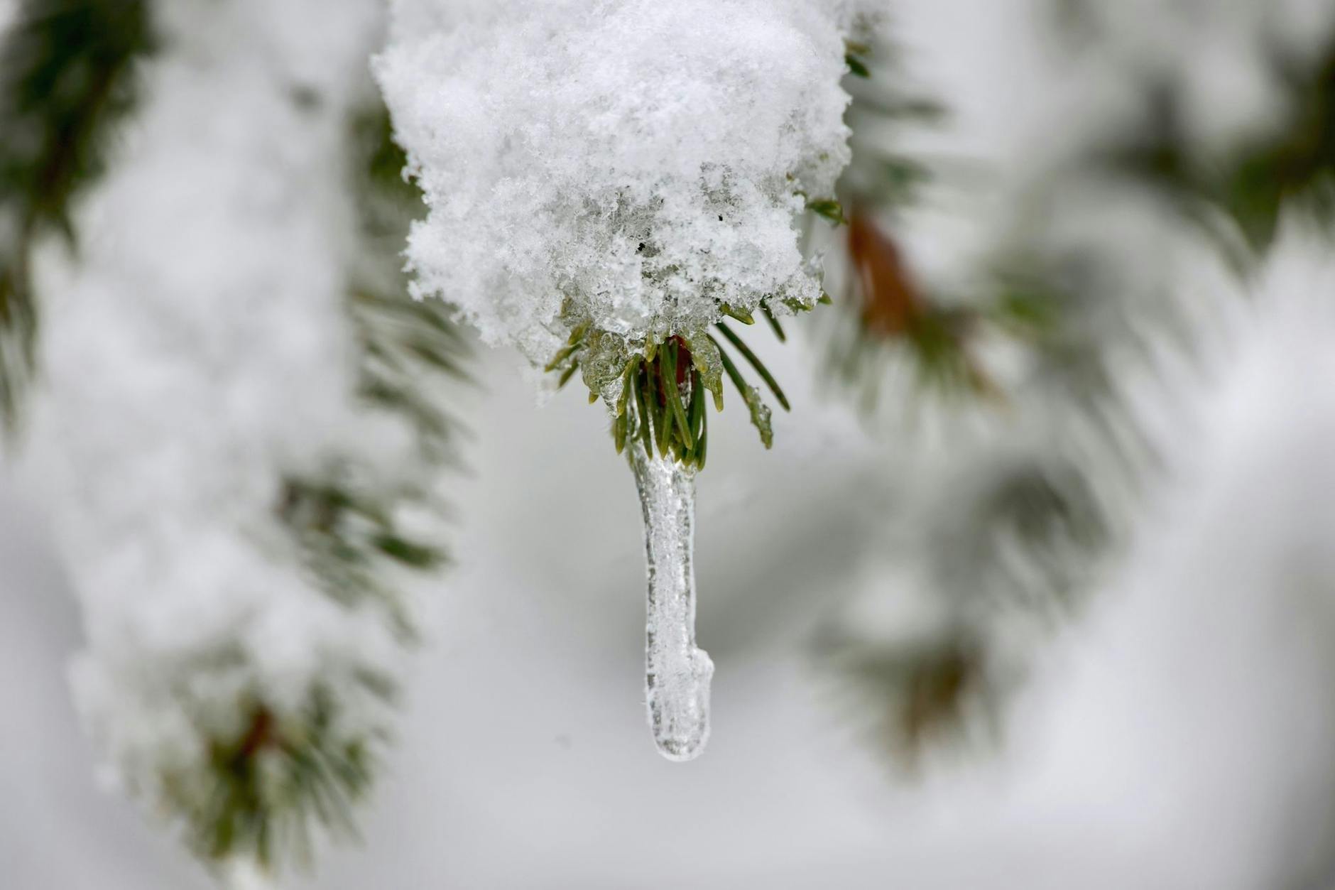 Dieser Eiszapfen lässt sich vom Frühlingsbeginn nicht einschüchtern: Der Winter ist in den Harz zurückgekehrt. Auf dem Brocken sind in der Nacht mehrere Zentimeter Schnee gefallen.