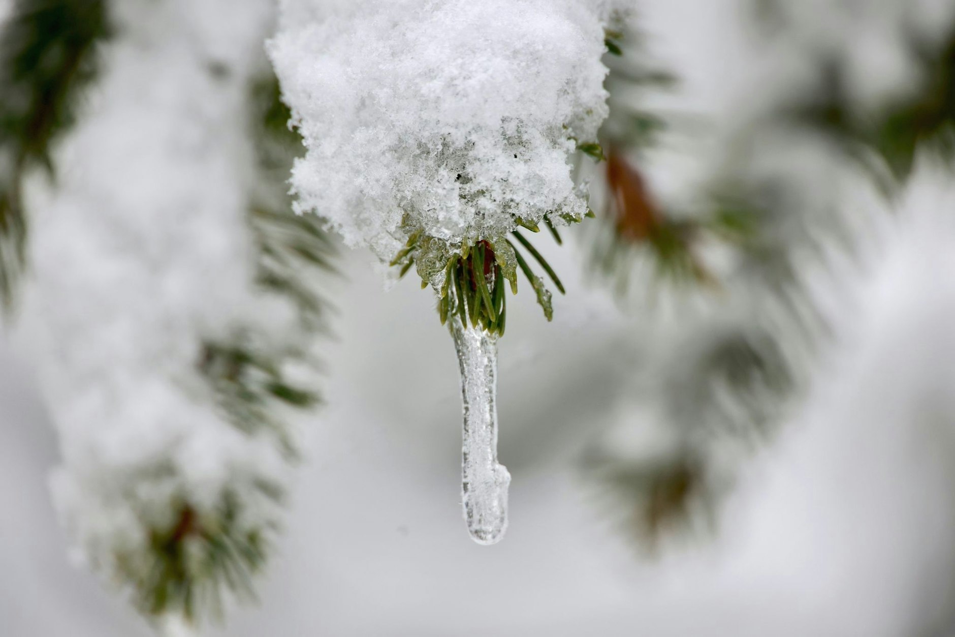 Dieser Eiszapfen lässt sich vom Frühlingsbeginn nicht einschüchtern: Der Winter ist in den Harz zurückgekehrt. Auf dem Brocken sind in der Nacht mehrere Zentimeter Schnee gefallen.  