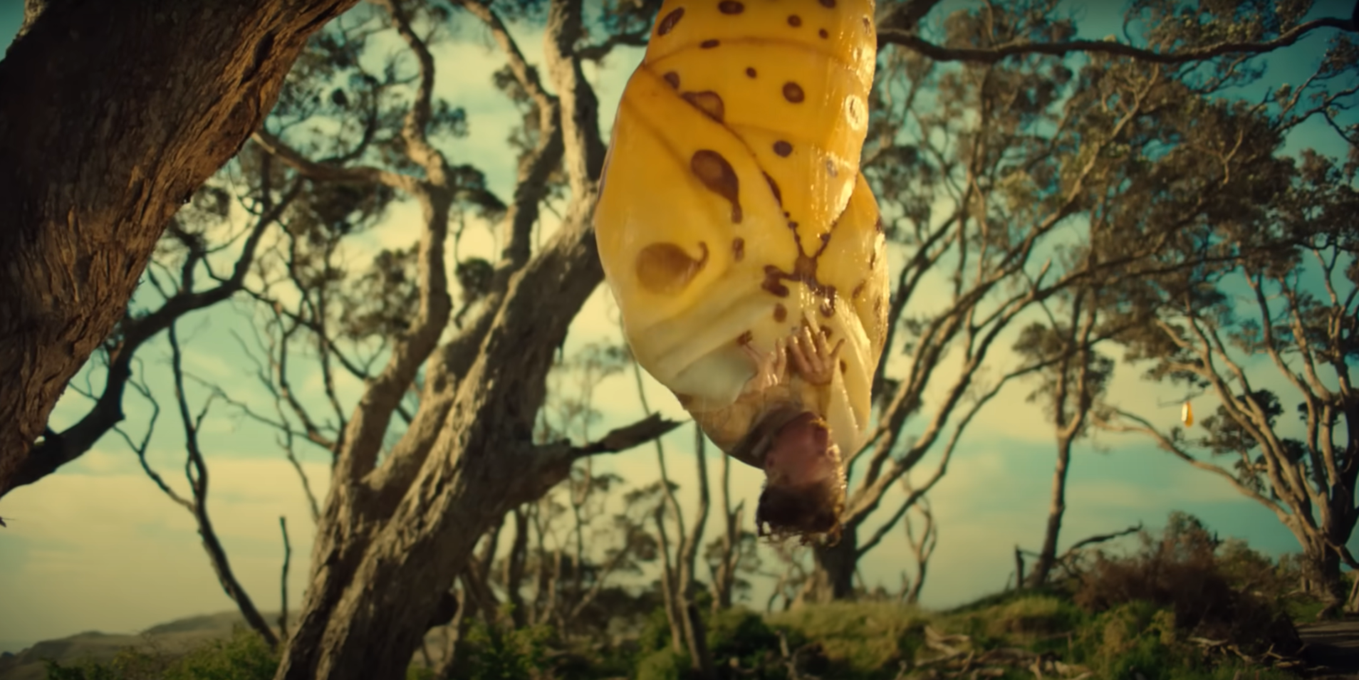 „Könnte im Strahl brechen“ – Hornbach-Werbung ekelt Kunden an