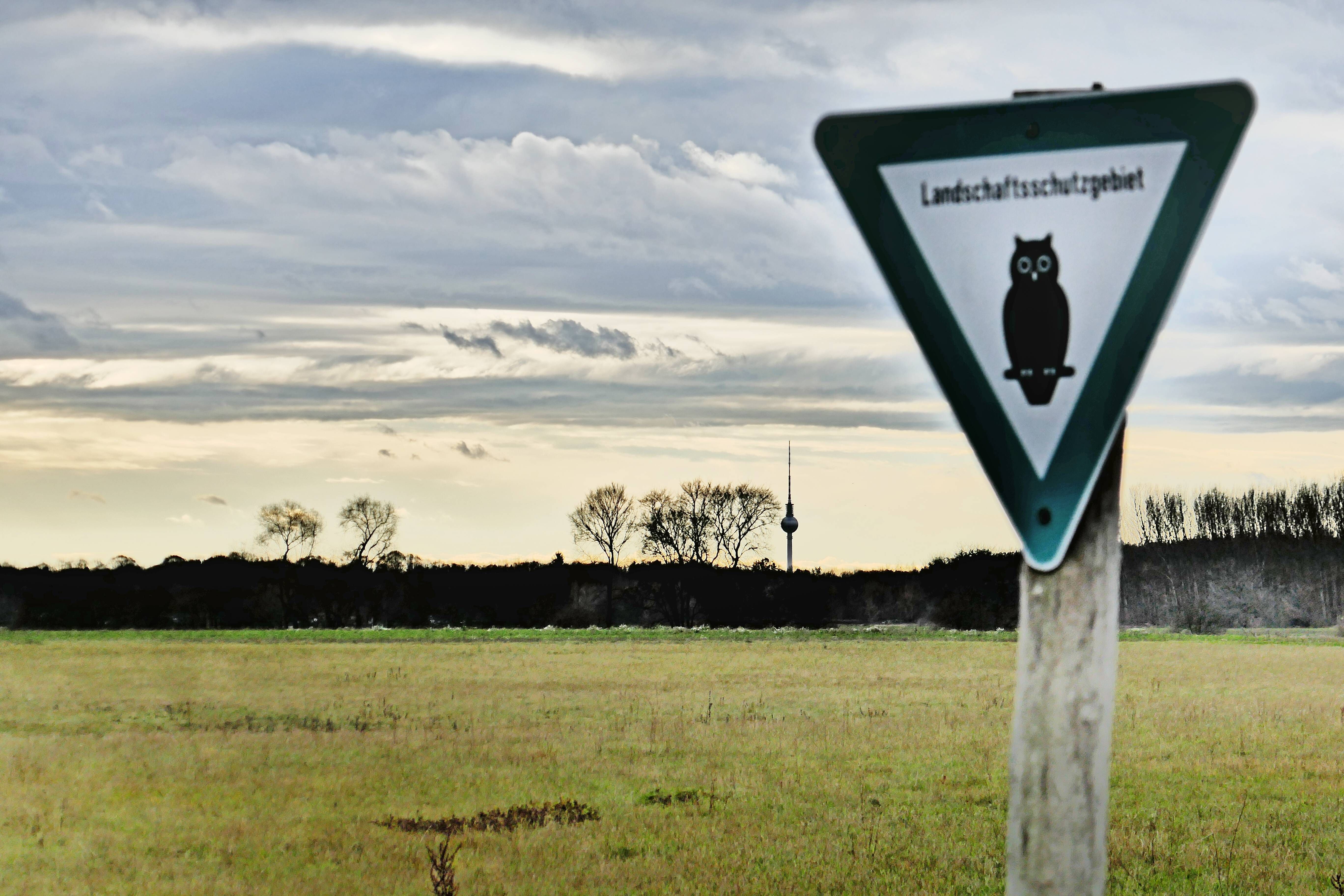 5000 Wohnungen in Berliner Elisabeth-Aue: Anwohner in Pankow fürchten „zweites Märkisches Viertel“