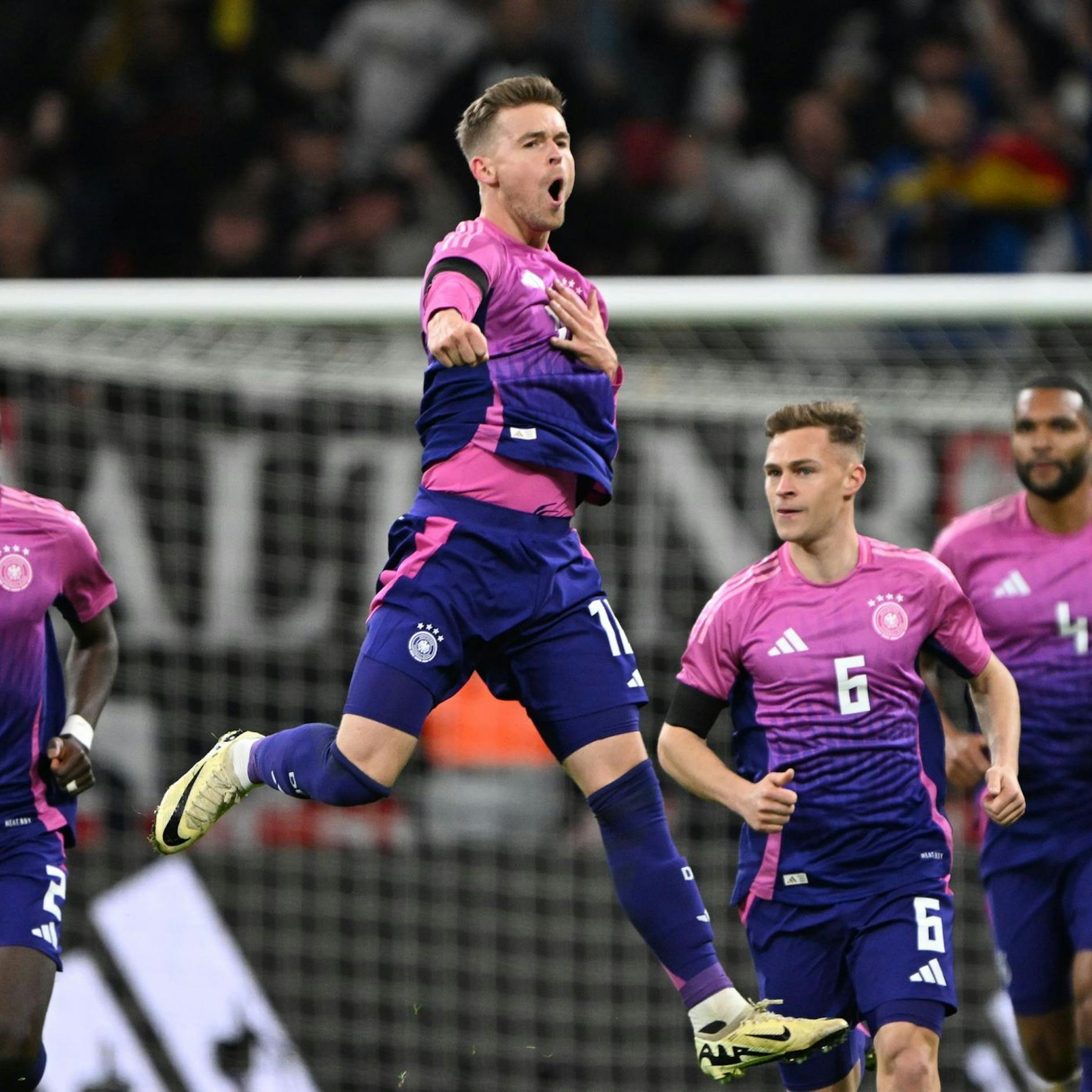 Image - Bilder des Tages