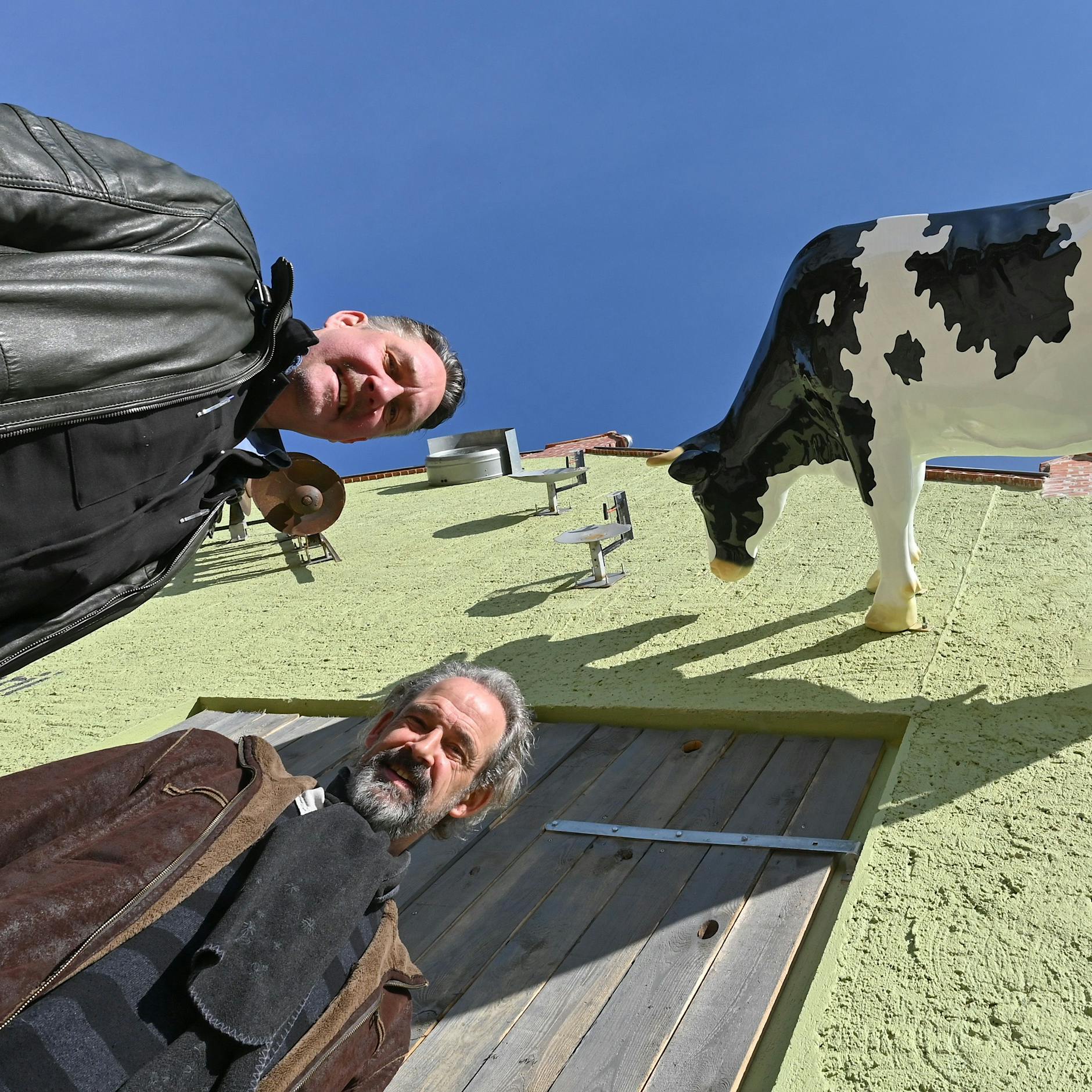 Irre: Hier sehen Sie Brandenburgs erste Dorfuhr, die muht!