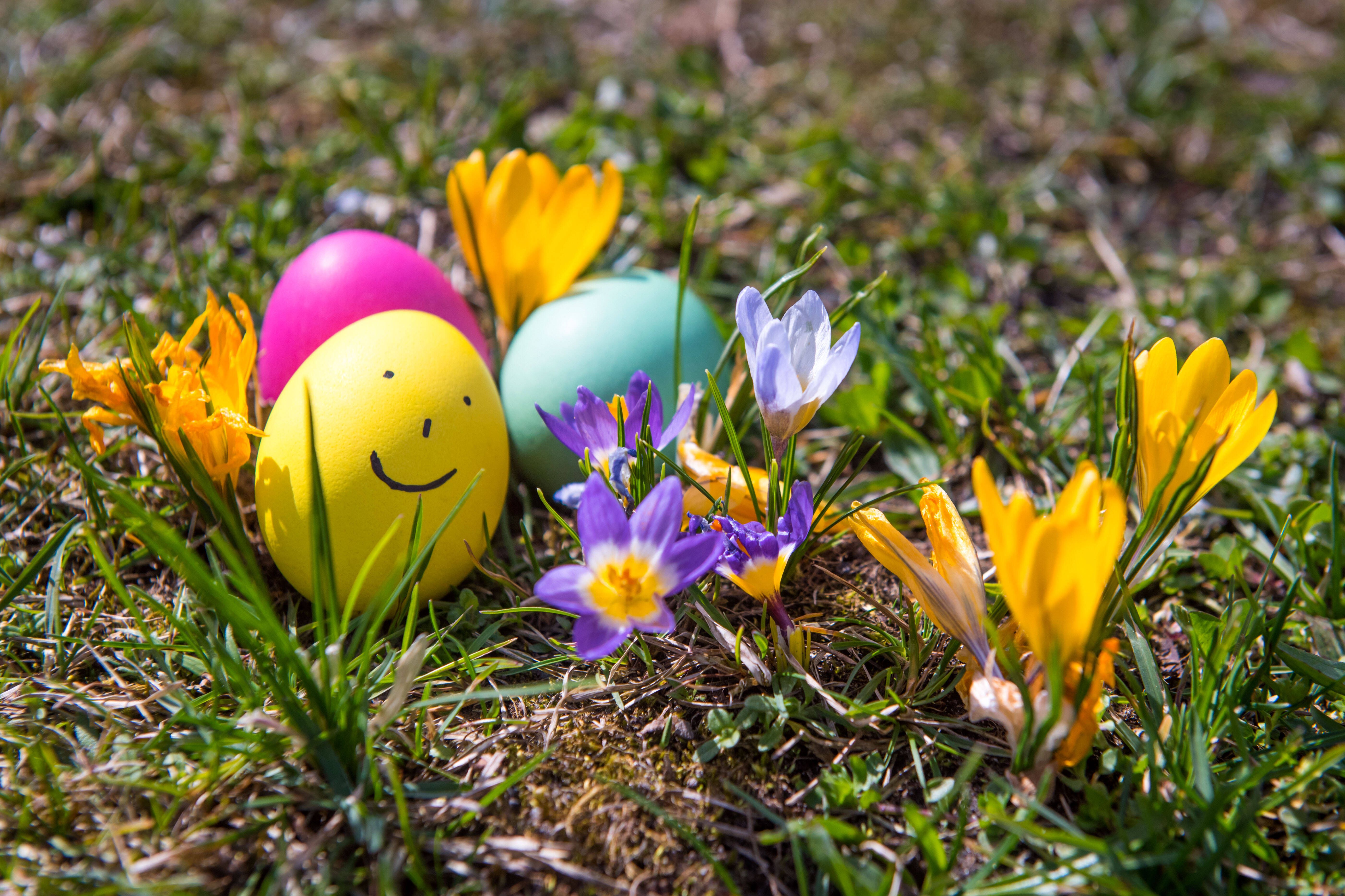 Berlin Ostern 2025 Veranstaltungen | Tipps Tickets