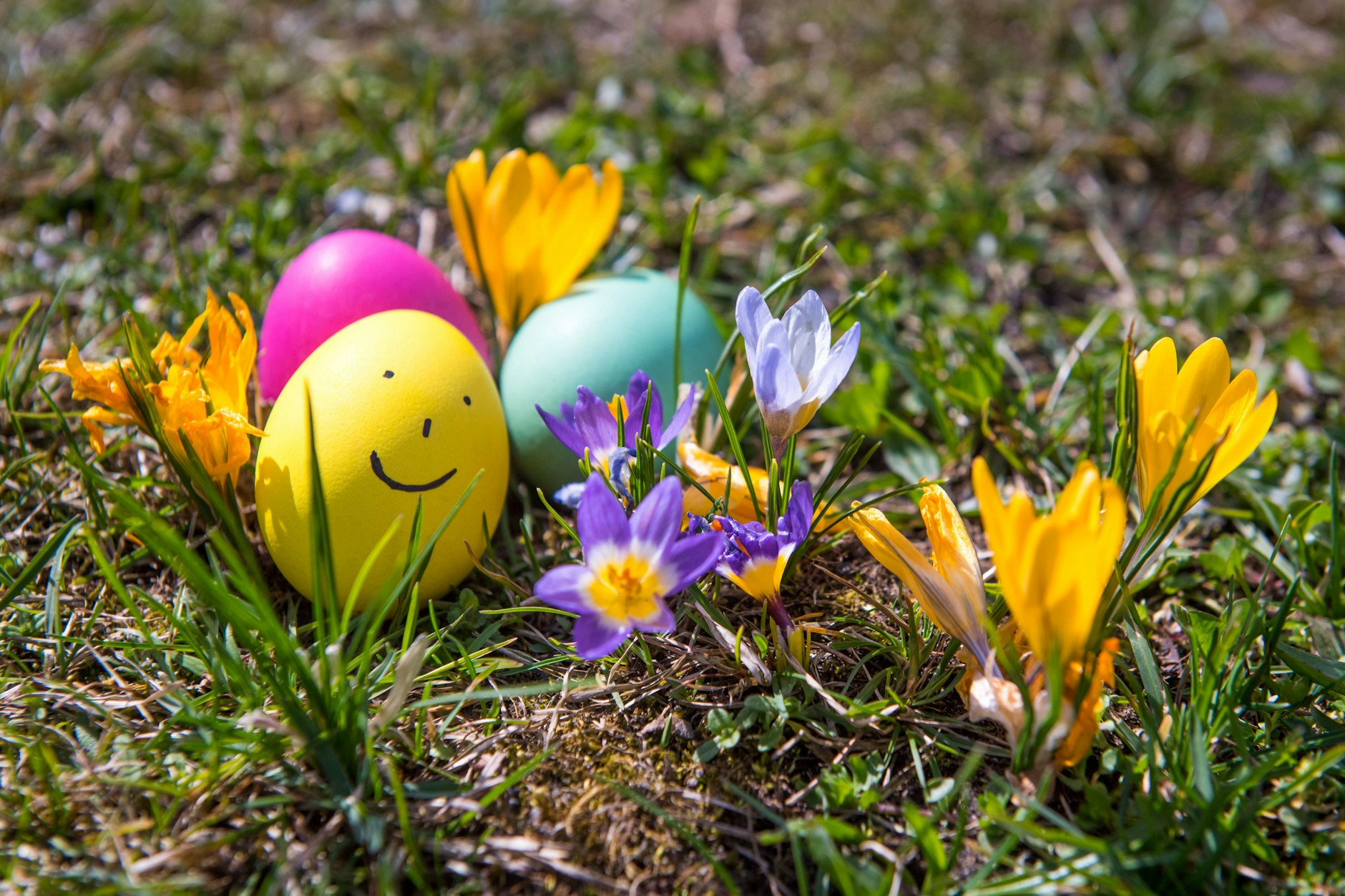 Inspirationen und Ideen fürs Osterfest 2025: tolle Shows, Ausstellungen, Schiffstouren und mehr. Lassen Sie sich inspirieren!