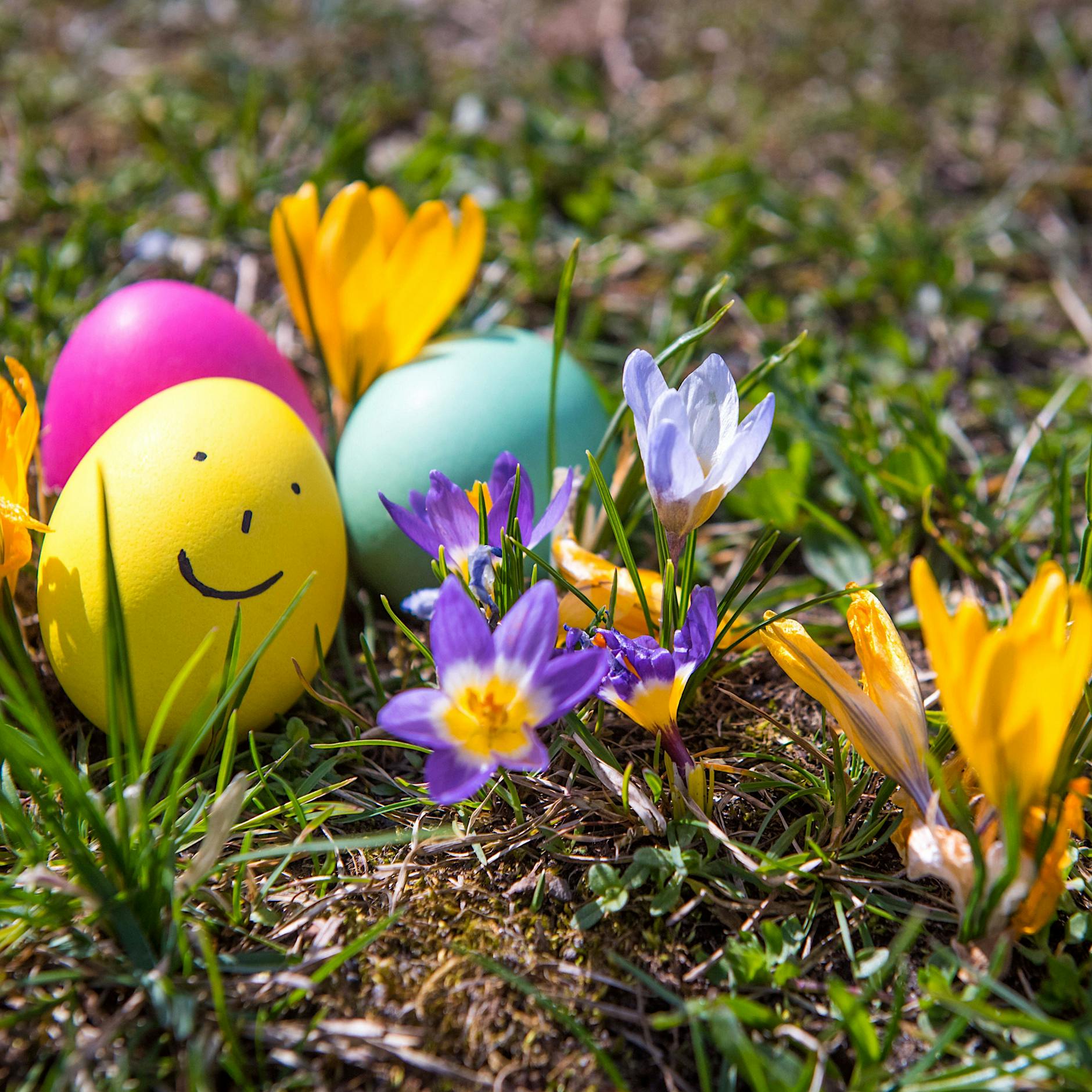 Berlin Ostern 2025 Veranstaltungen | Tipps Tickets