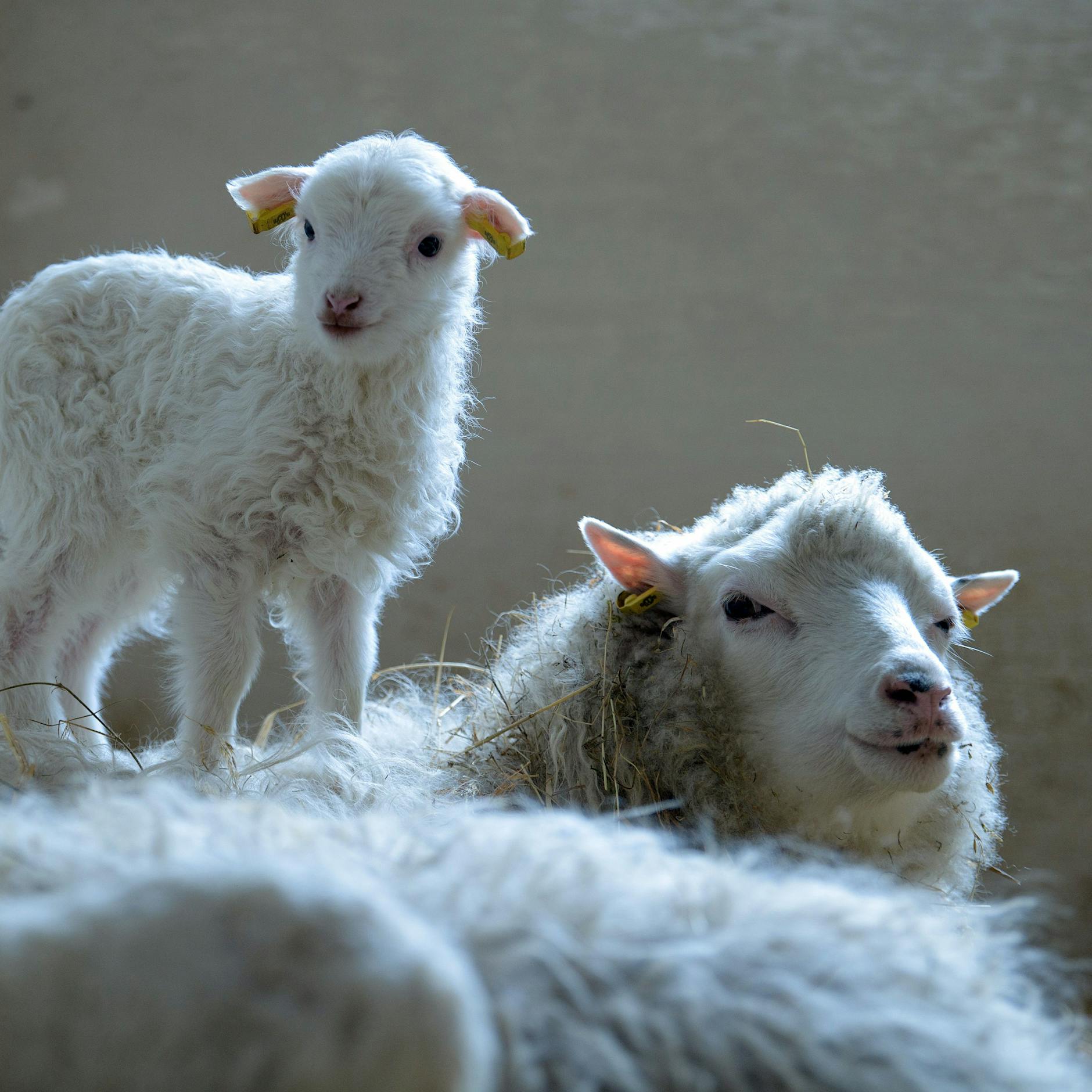 Tipps für das Osterwochenende: GRATIS-Aktivitäten in Berlin und Brandenburg!