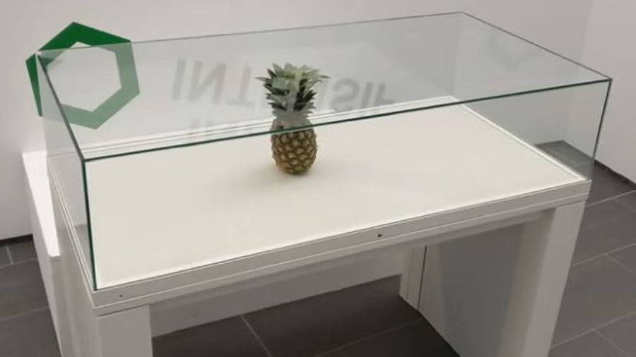 Die Ananas landete in einer Vitrine - und wurde daraufhin in Schottland berühmt.