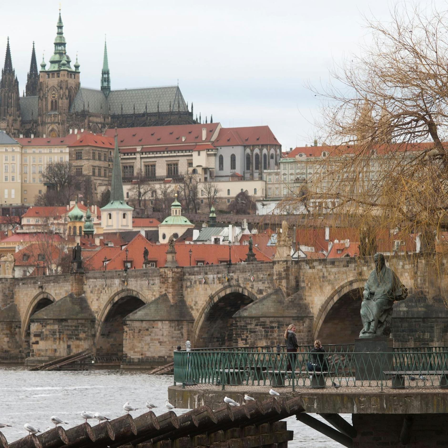 Image - Prager Krankenhaus führt irrtümlich Abtreibung durch