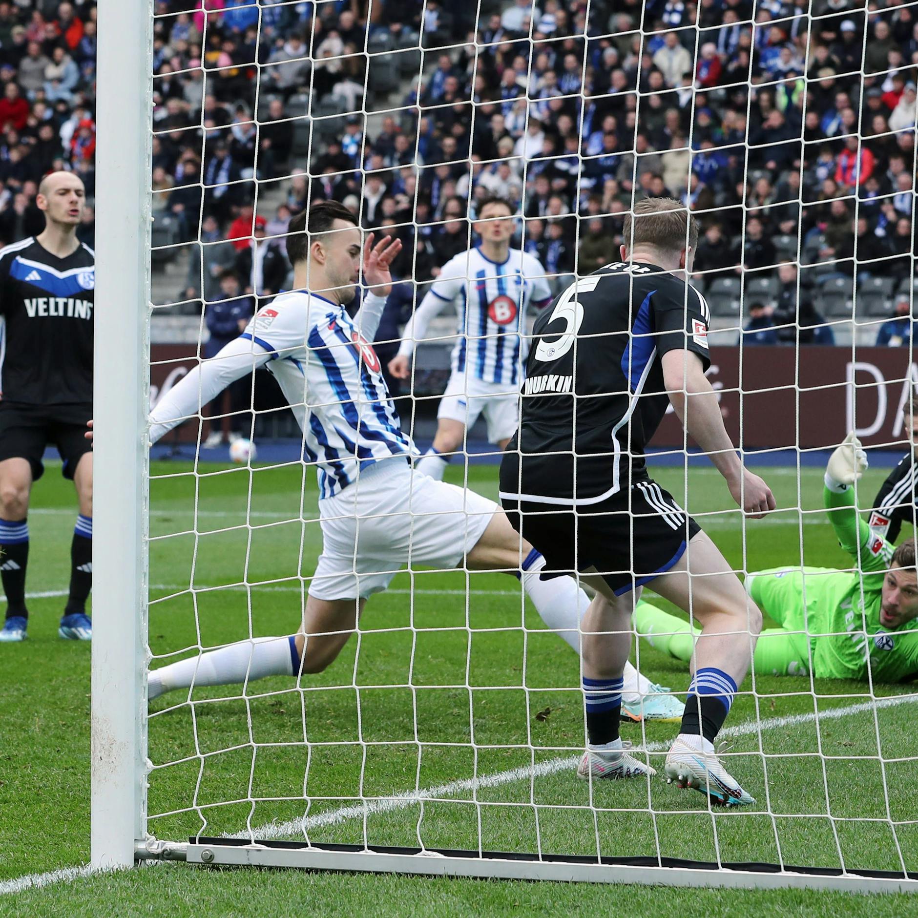 Bei Herthas 5:2-Heimsieg gegen Schalke 04 schlug Haris Tabakovic mal wieder mit einem Doppelpack zu.