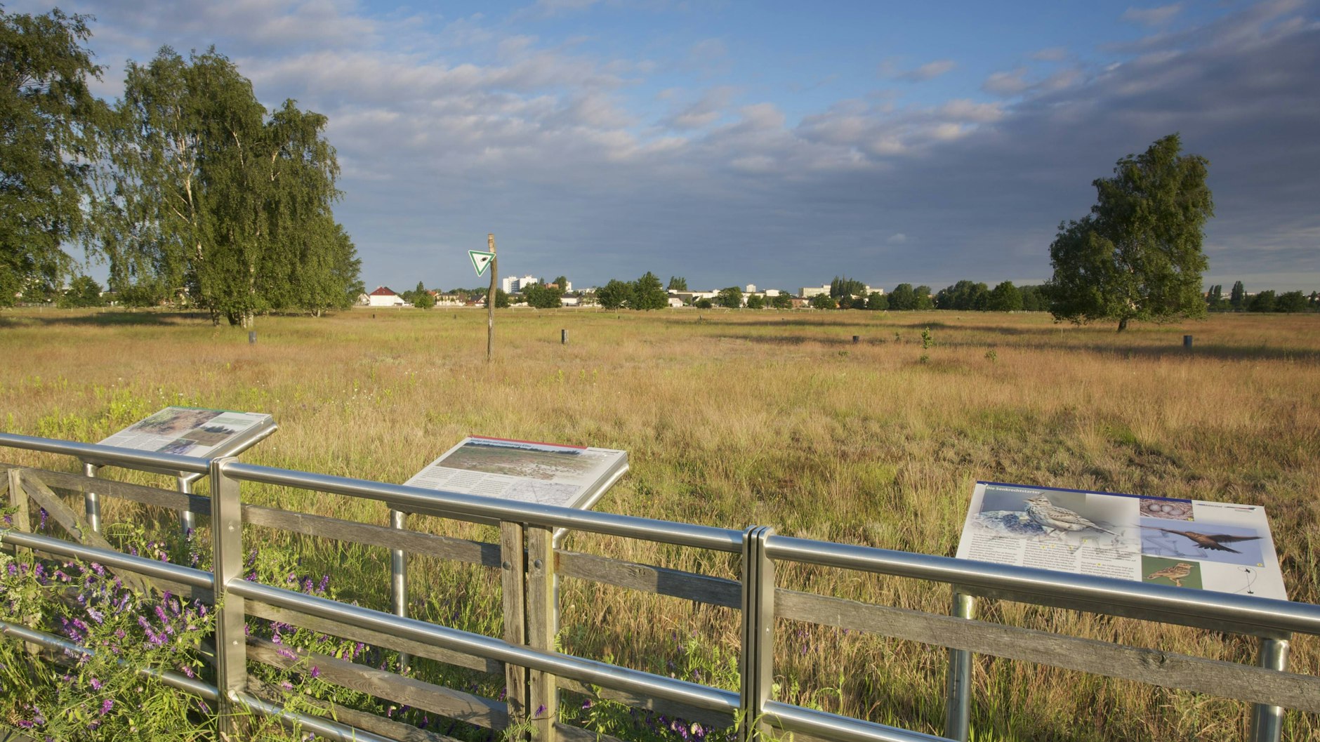 Der ehemalige Flugplatz Johannisthal ist heute ein schöner Landschaftspark.