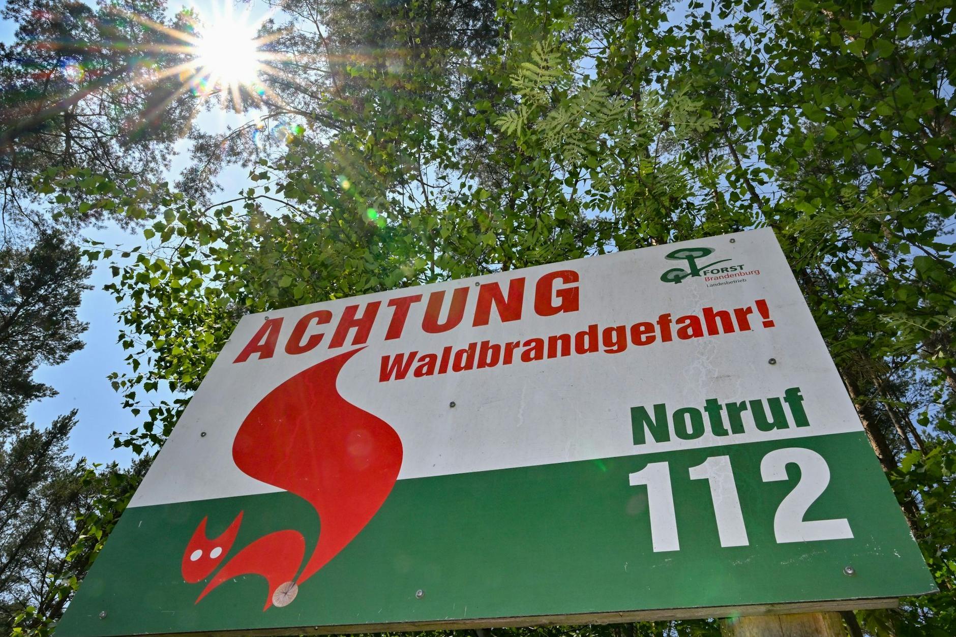 Durch Waldbrandgefahrenstufen wird auf einer Skala von 1 bis 5 die unterschiedliche Gefahr für die Entstehung eines Waldbrandes dargestellt.